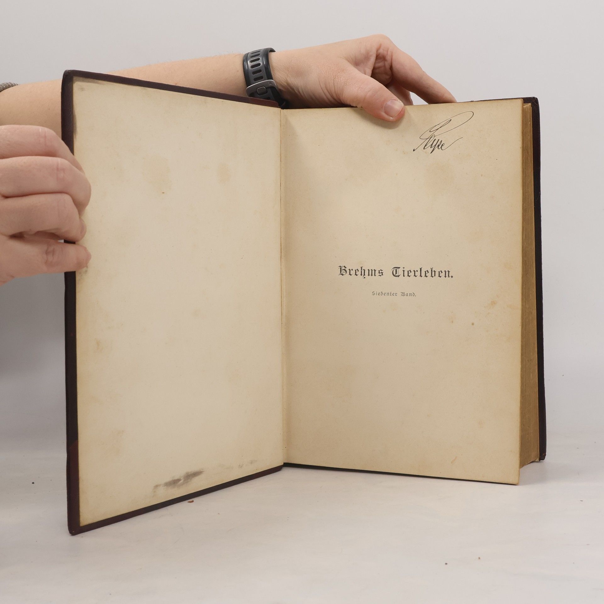 Alfred Edmund Brehm Die Kriechtiere und Lurche