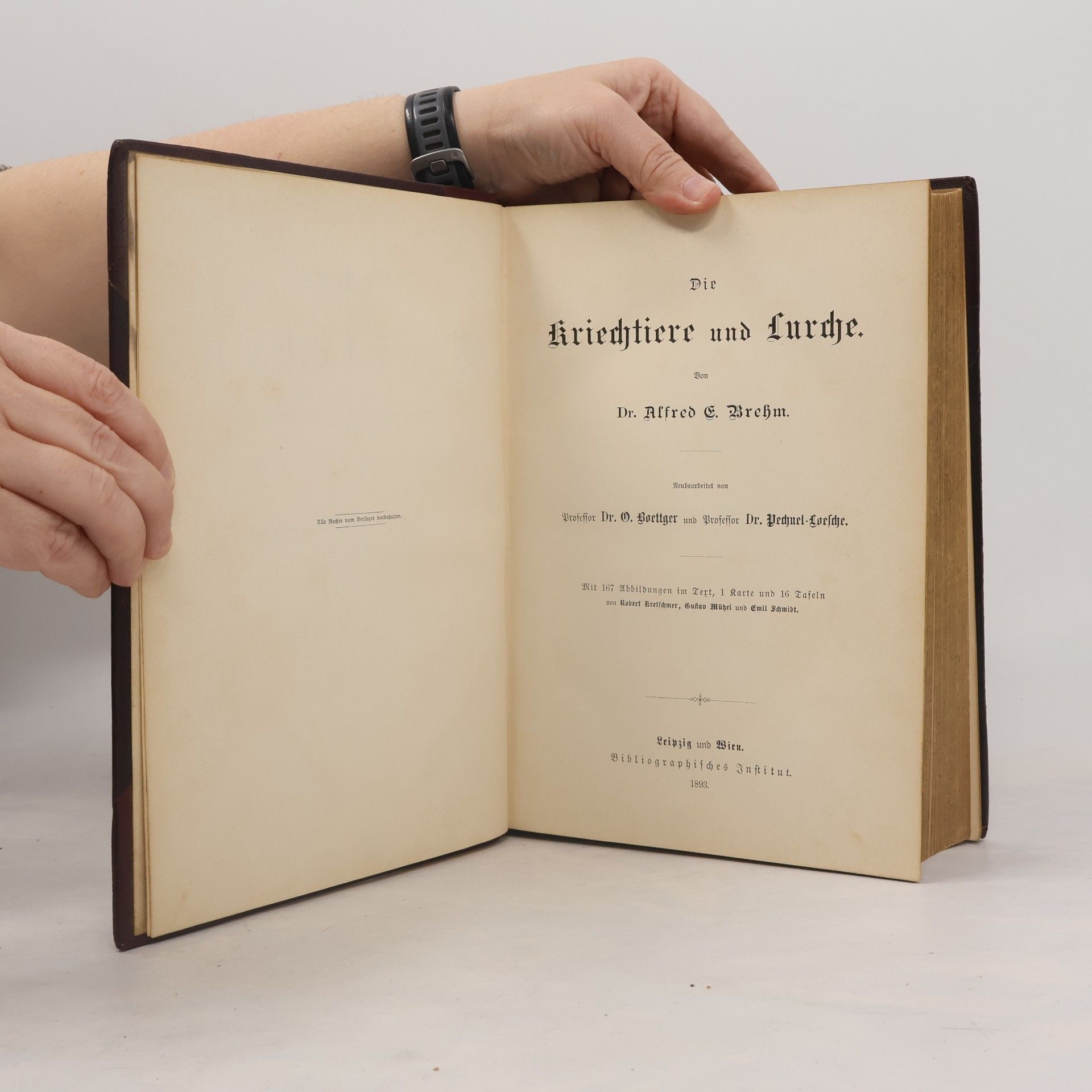 Alfred Edmund Brehm Die Kriechtiere und Lurche