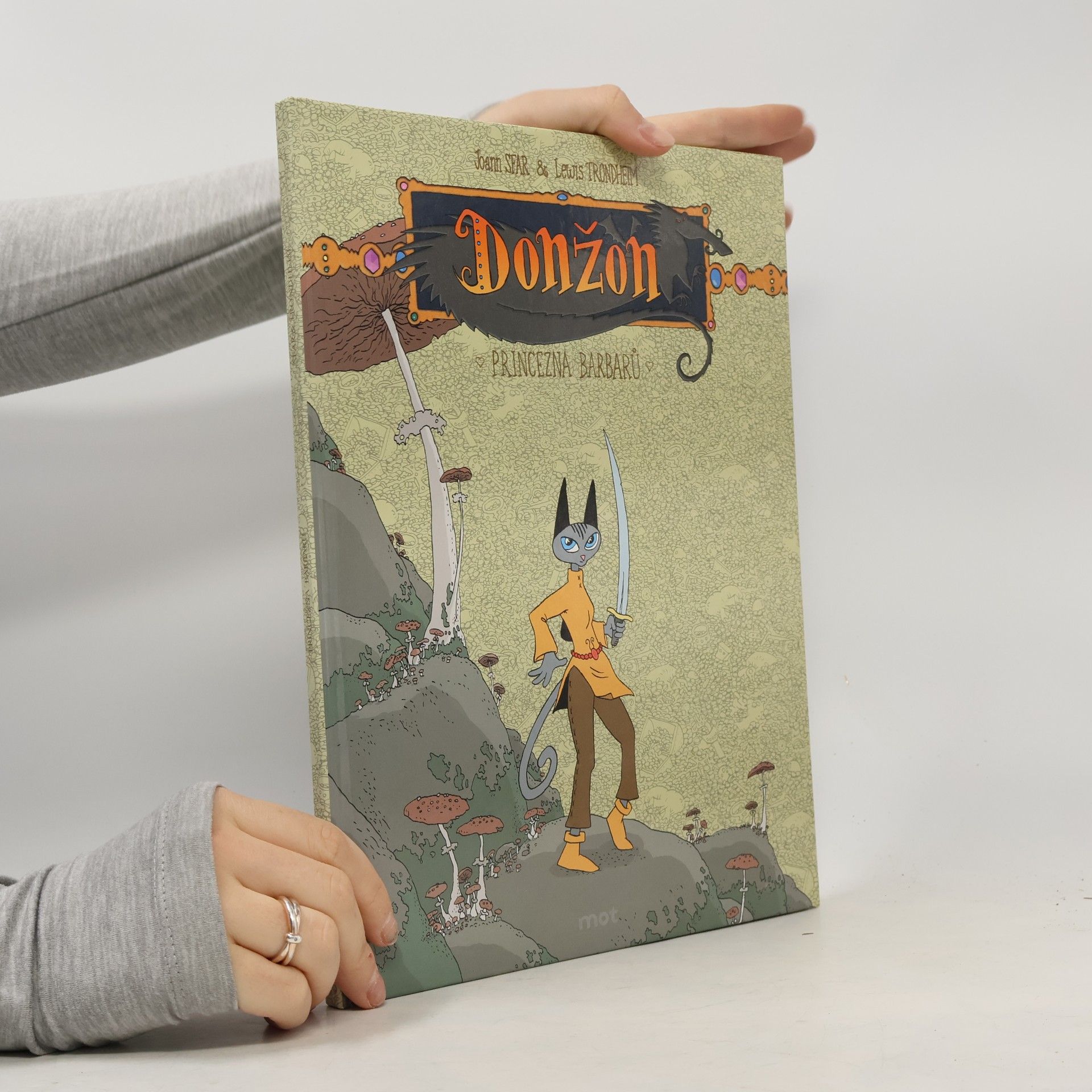 Donžon 3. díl: Princezna barbarů