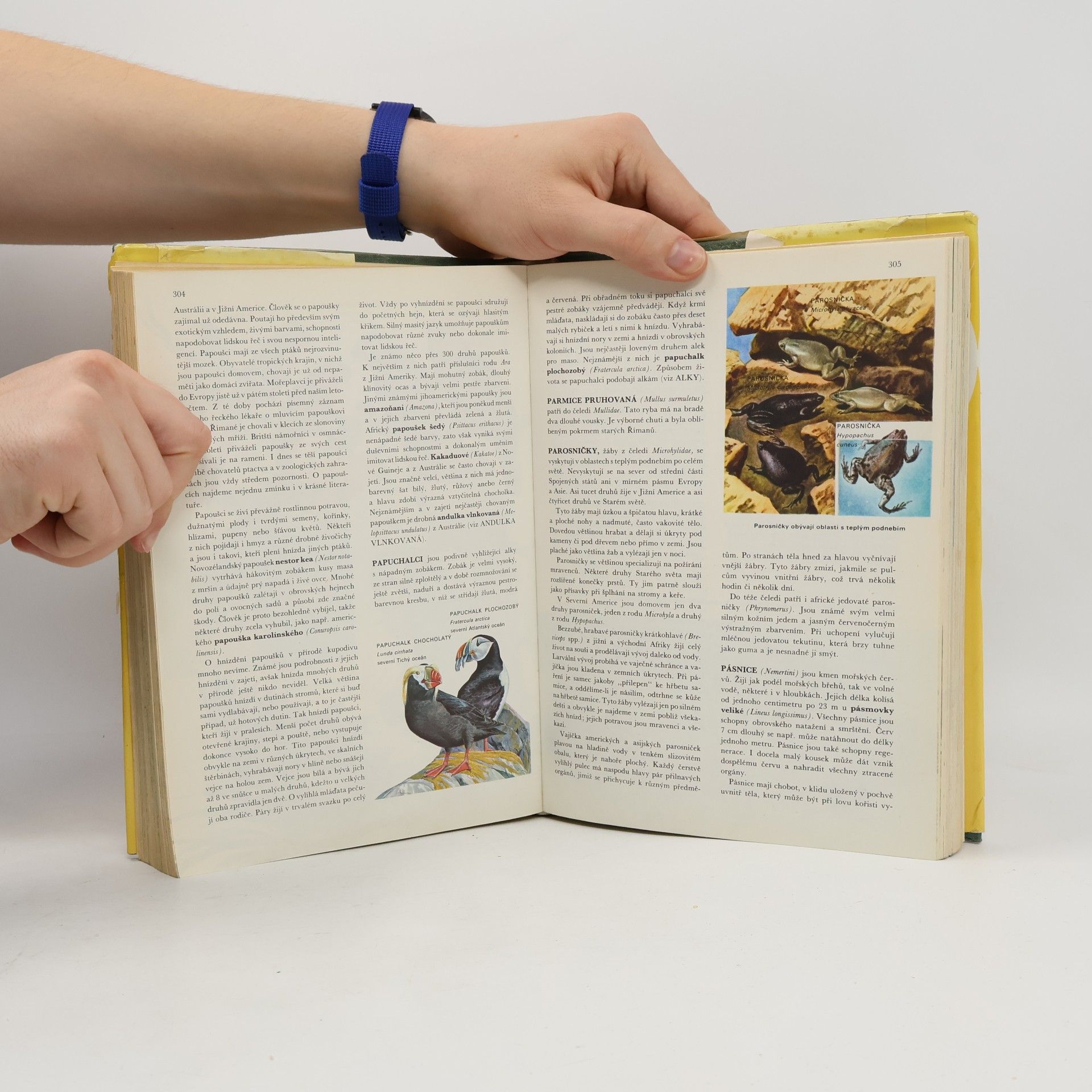 Autorenkollektiv Od agamy po žraloka. Velký ilustrovaný slovník zvířat