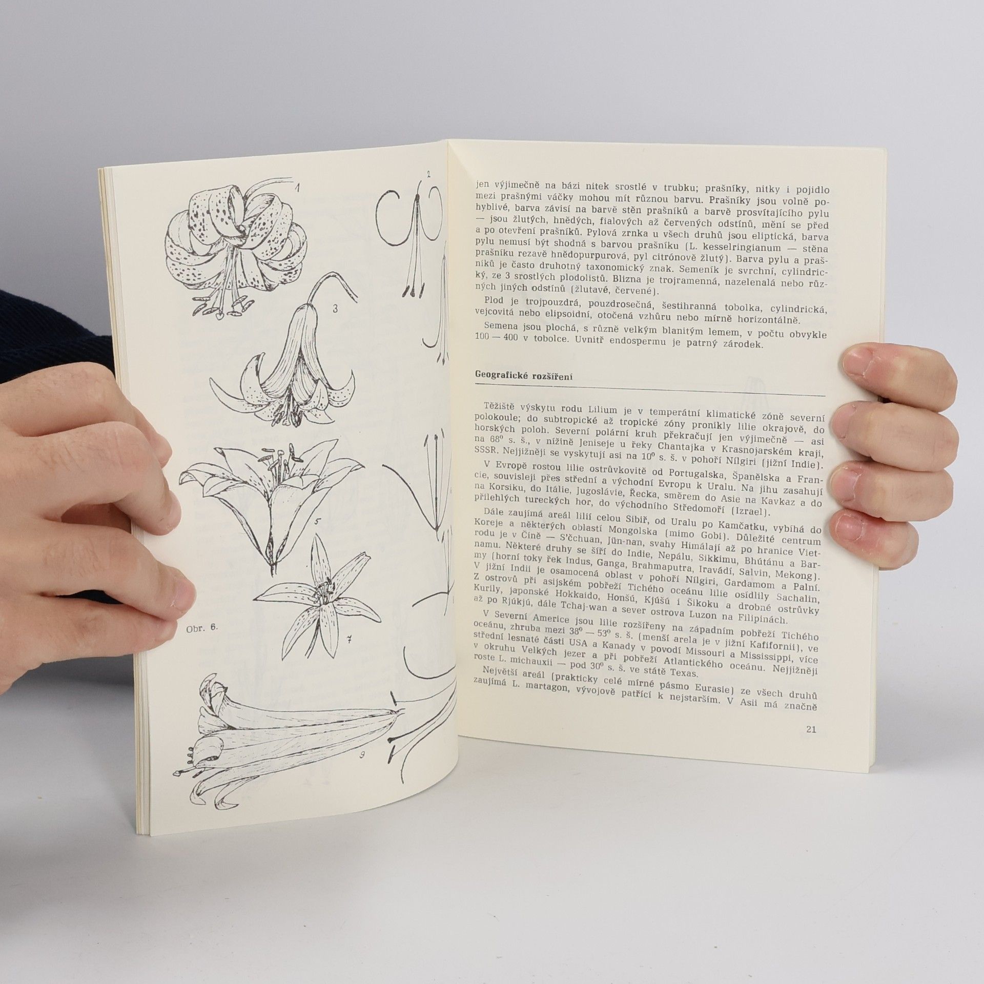 Various authors Pražská botanická zahrada. Lilie