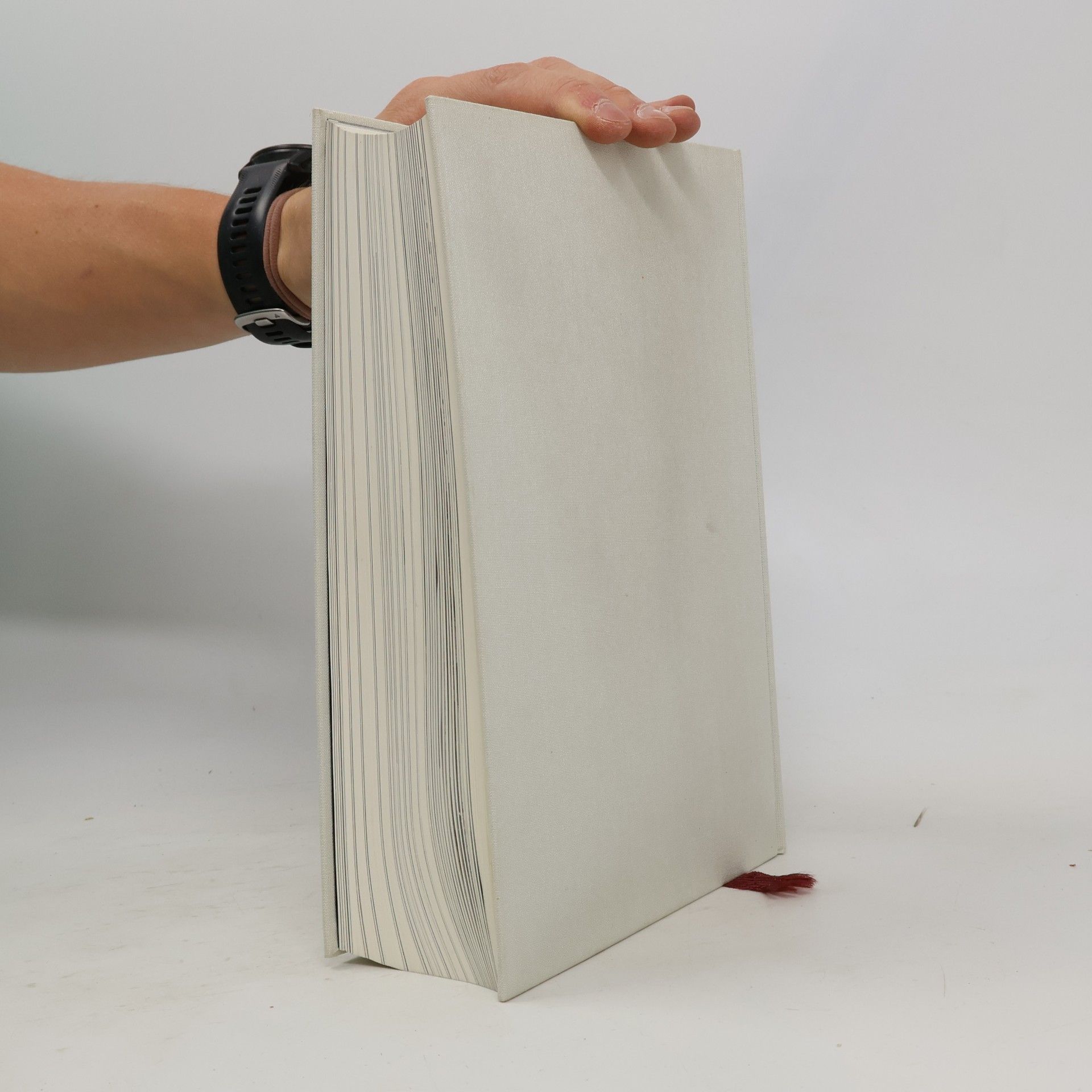 Sieger Köder Die Bibel mit Bildern von Sieger Köder