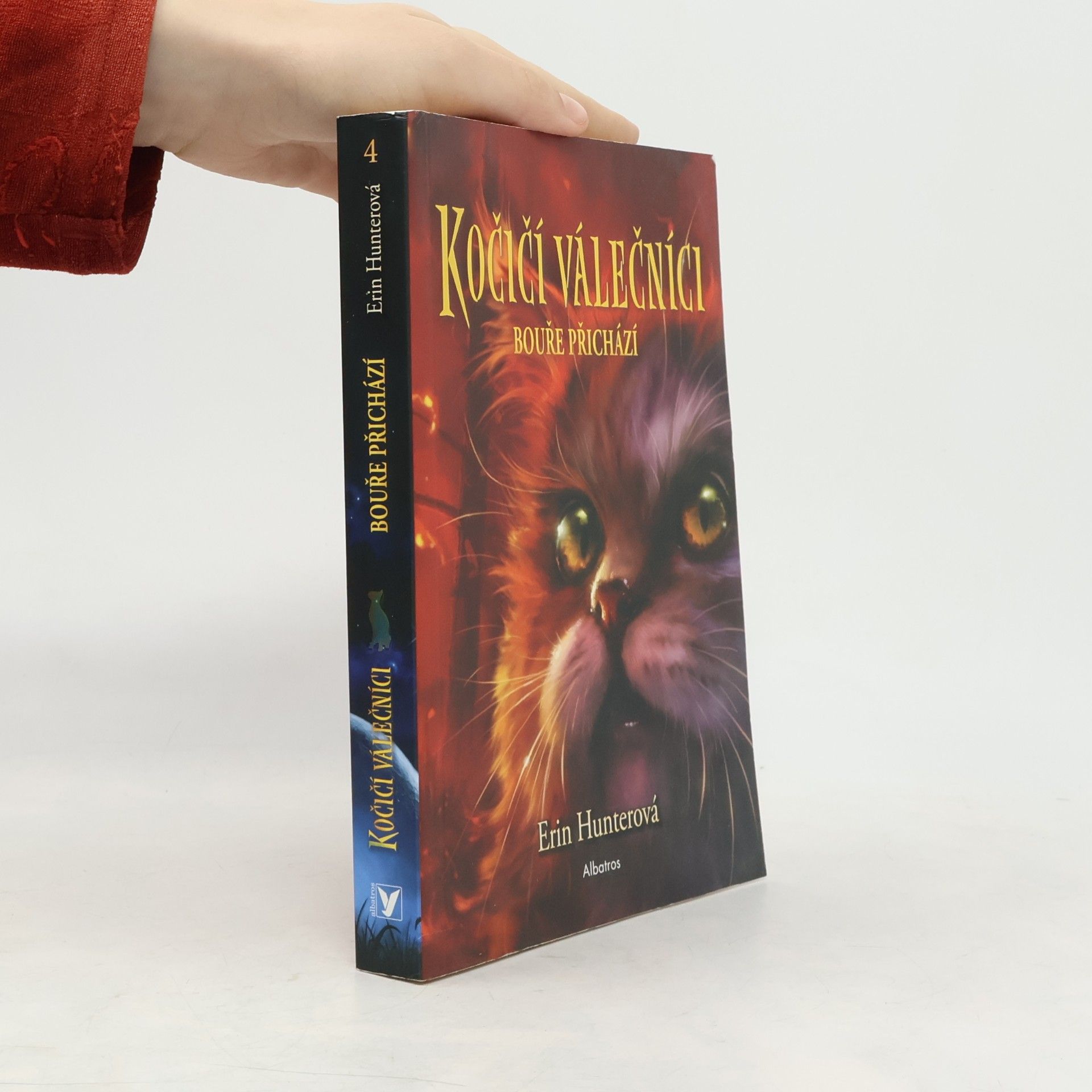 Erin Hunter Kočičí válečníci. Bouře přichází