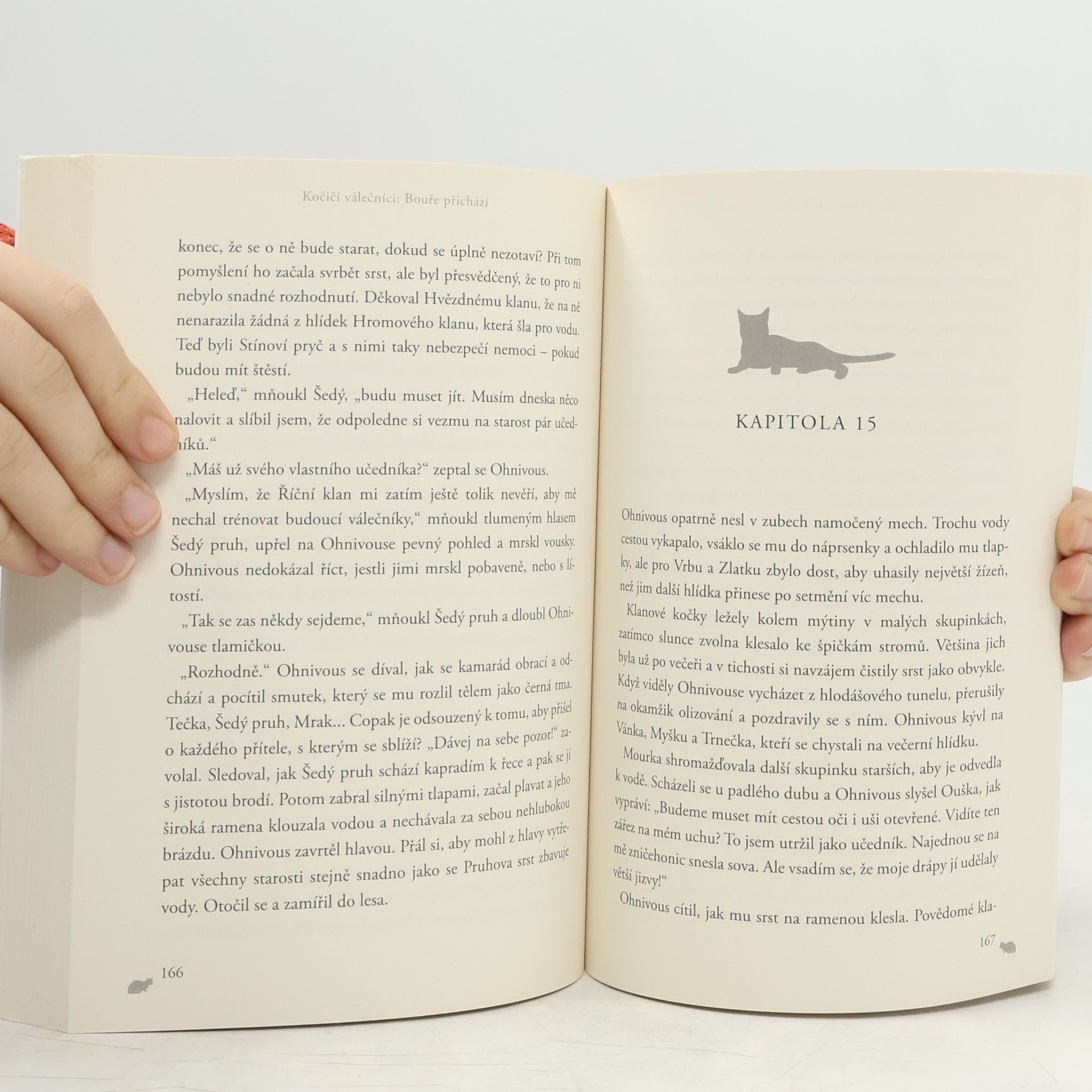 Erin Hunter Kočičí válečníci. Bouře přichází