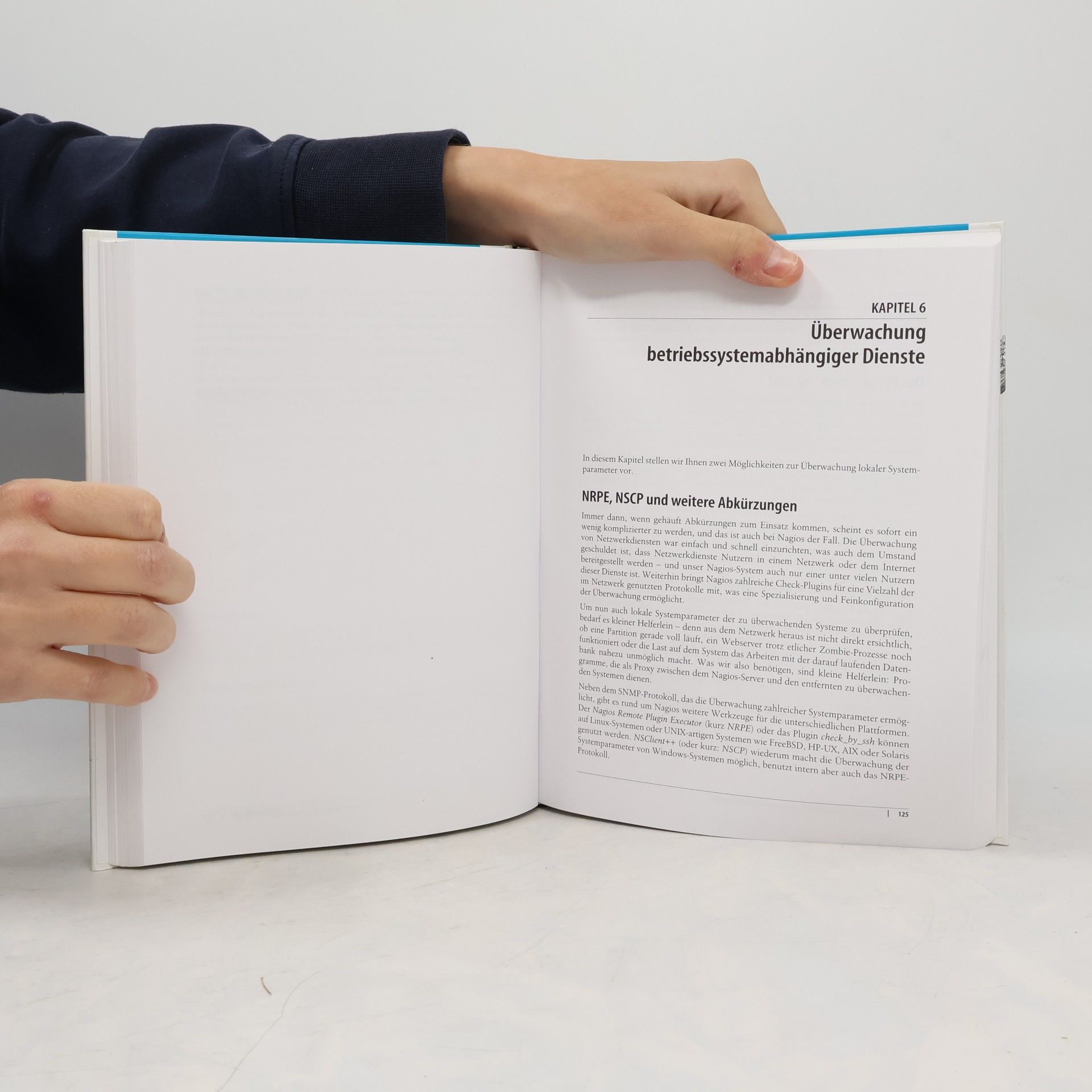 Tobias Scherbaum Praxisbuch Nagios