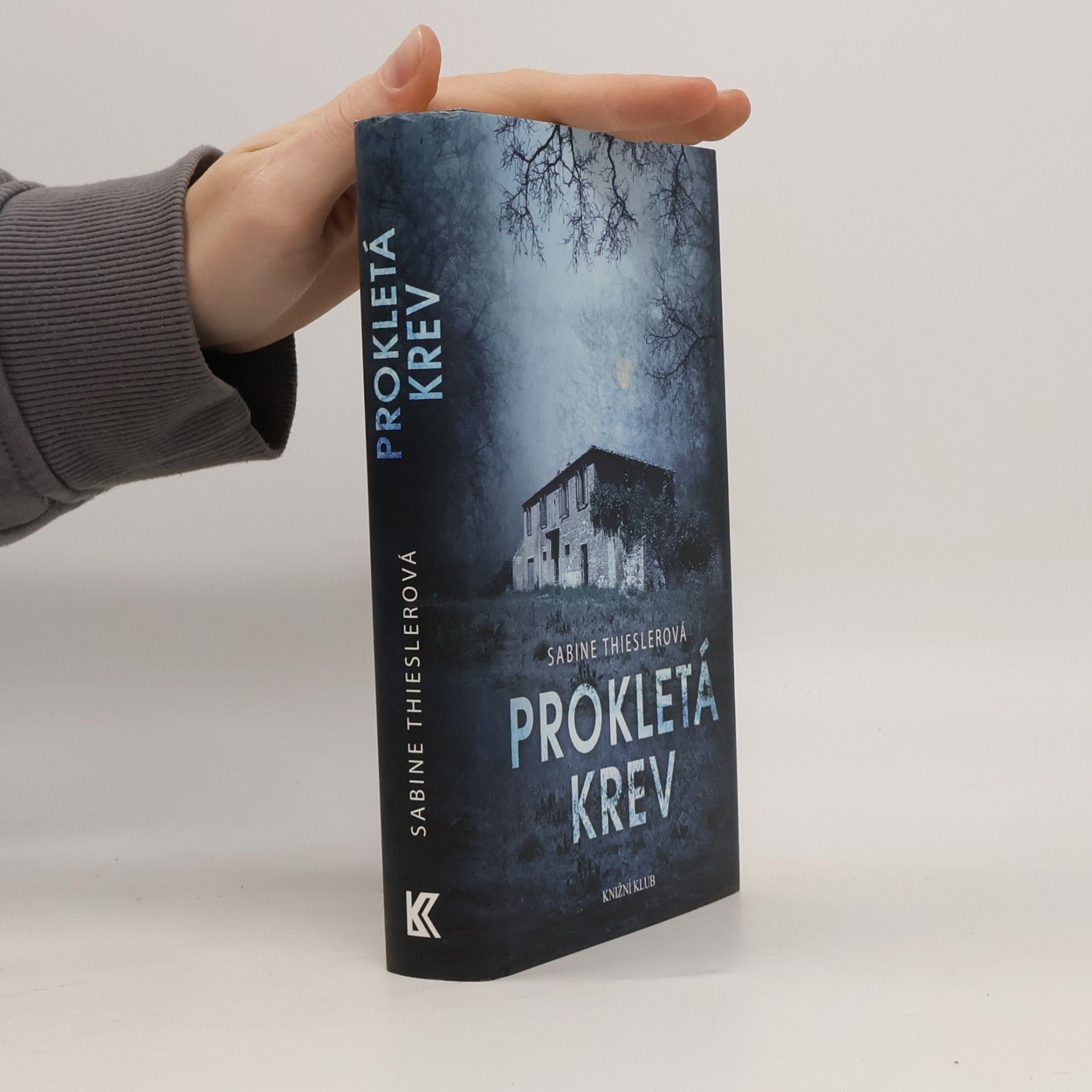 Sabine Thiesler Prokletá krev