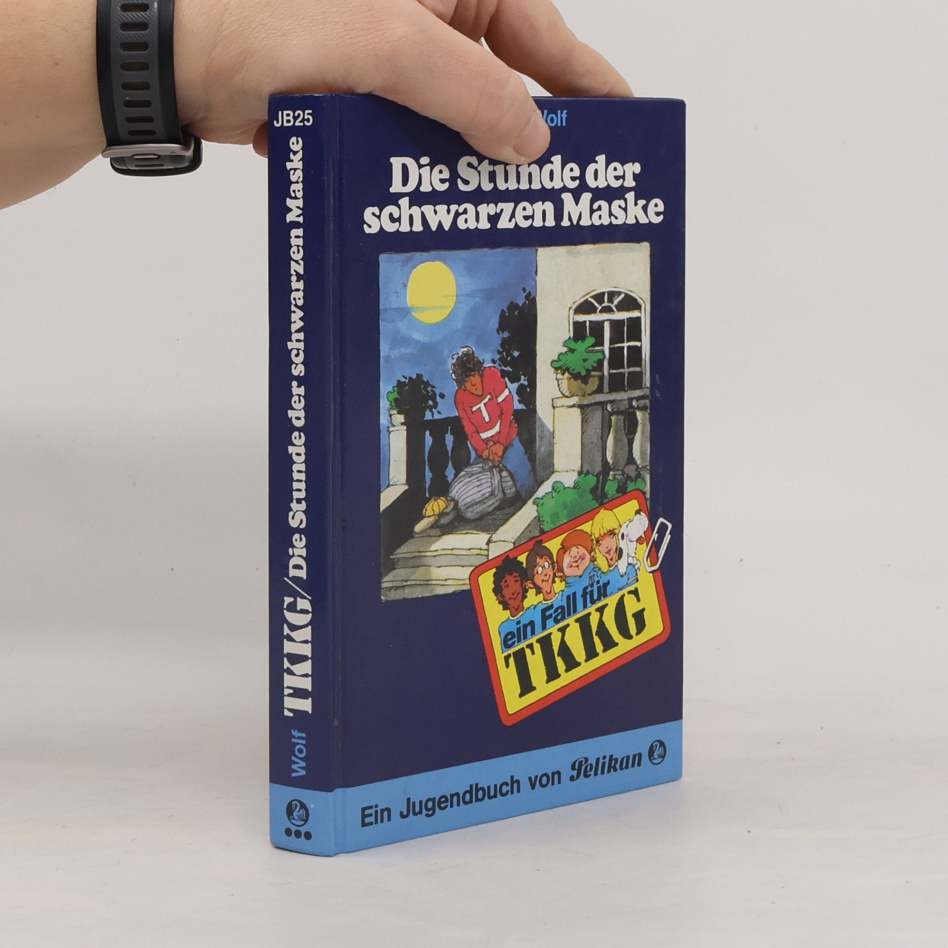 Stefan Wolf Die Stunde der schwarzen Maske