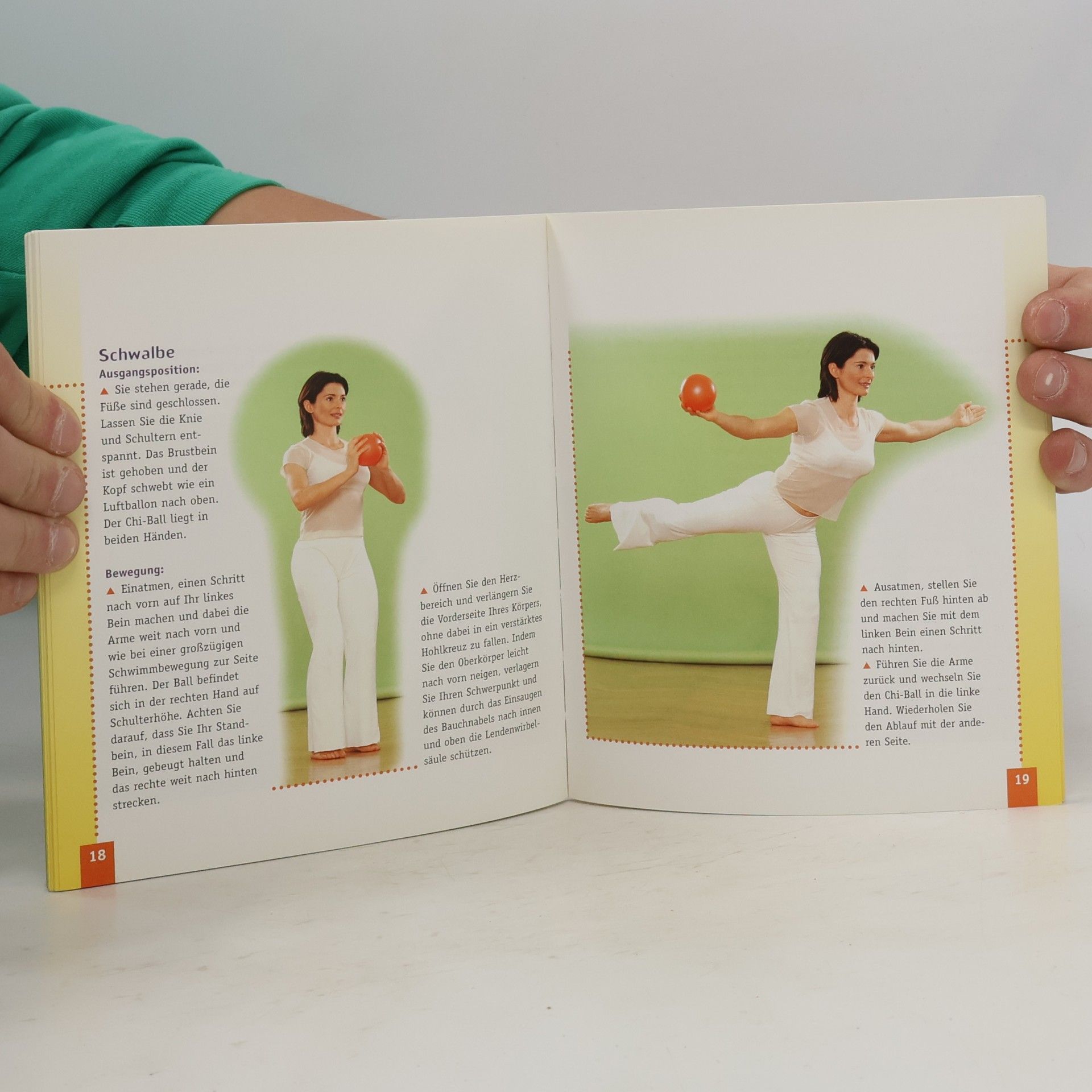 Lucia Schmidt Chi-Ball