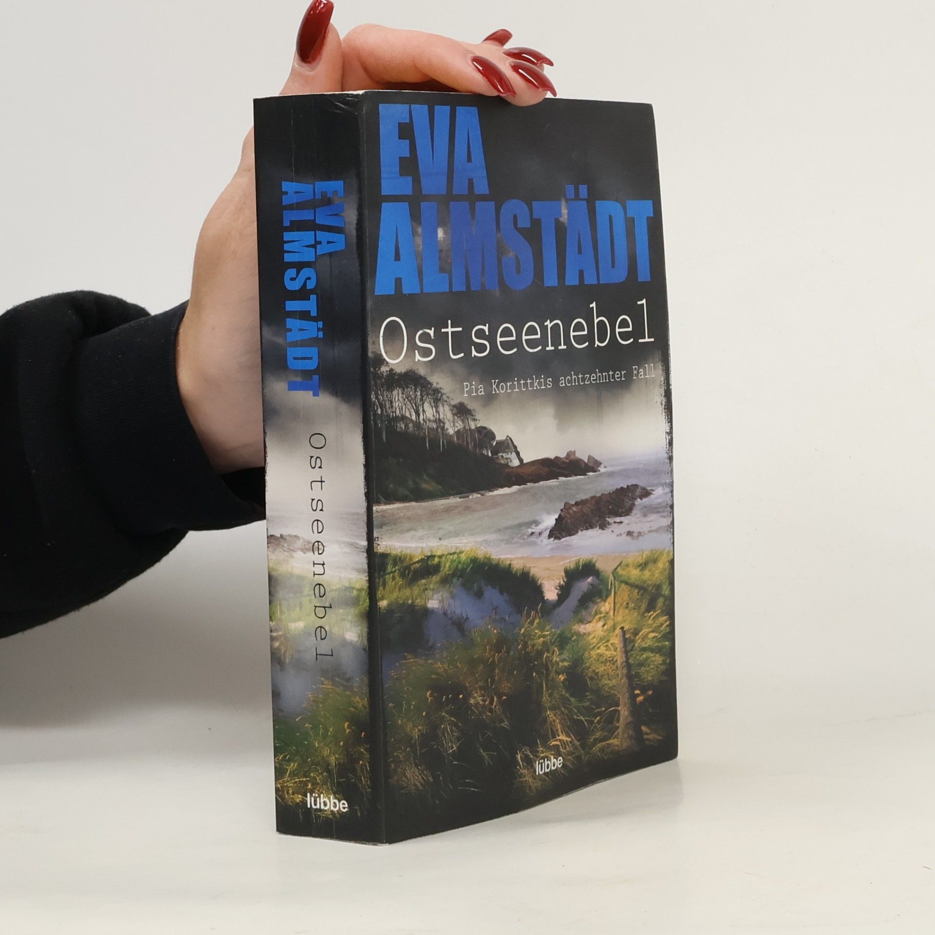 Ostseenebel