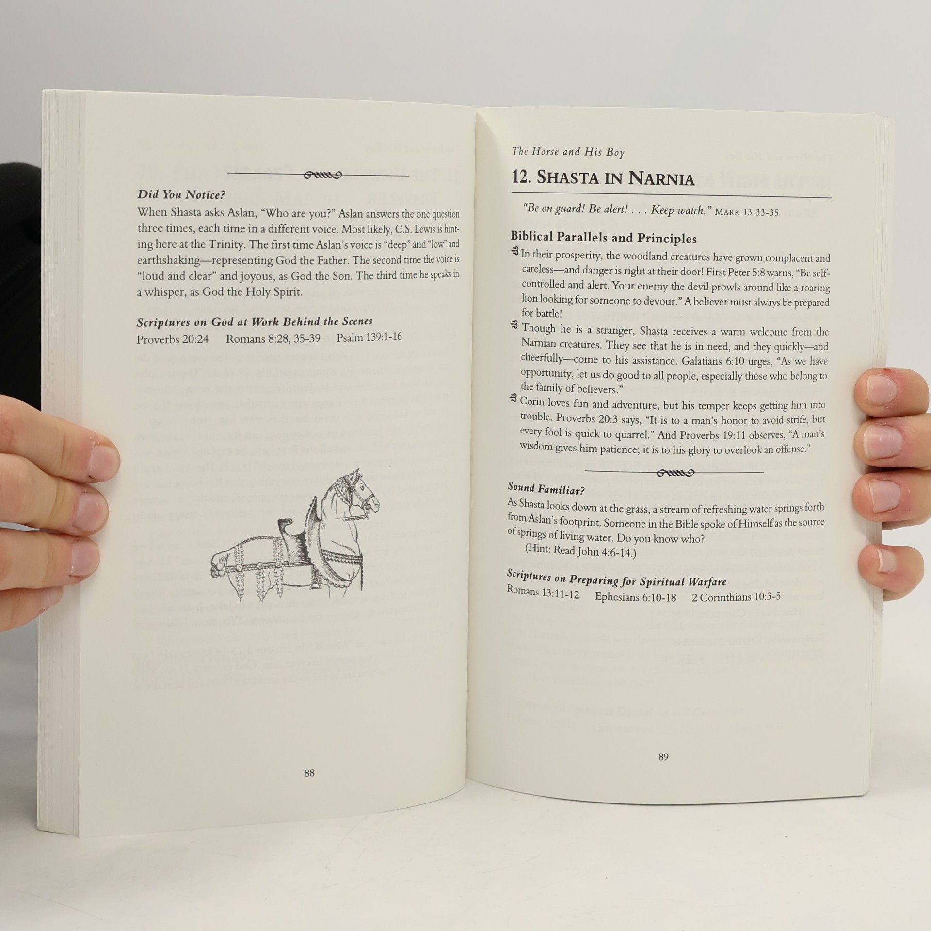 Christin Ditchfield A Family Guide to Narnia