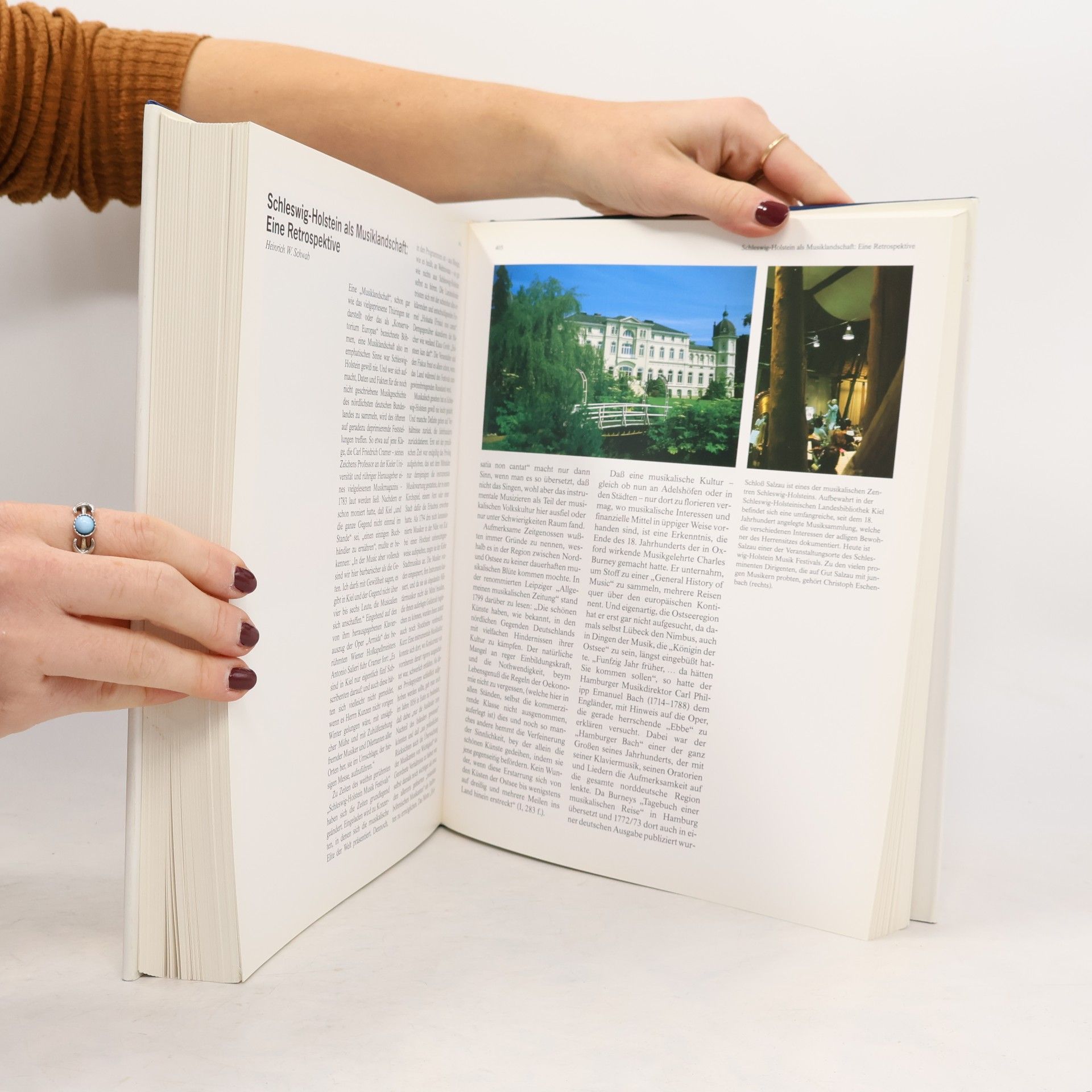 Das grosse Schleswig-Holstein-Buch