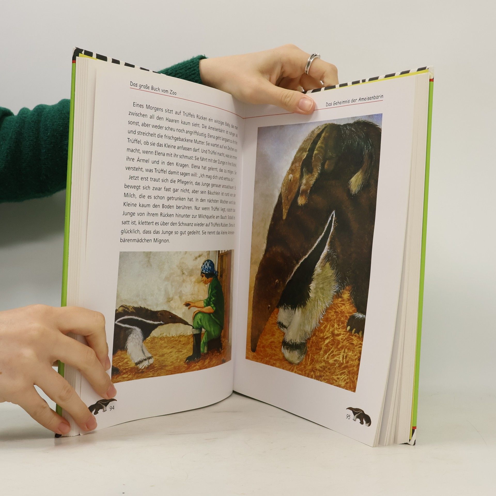 Christine Adrian Das große Buch vom Zoo