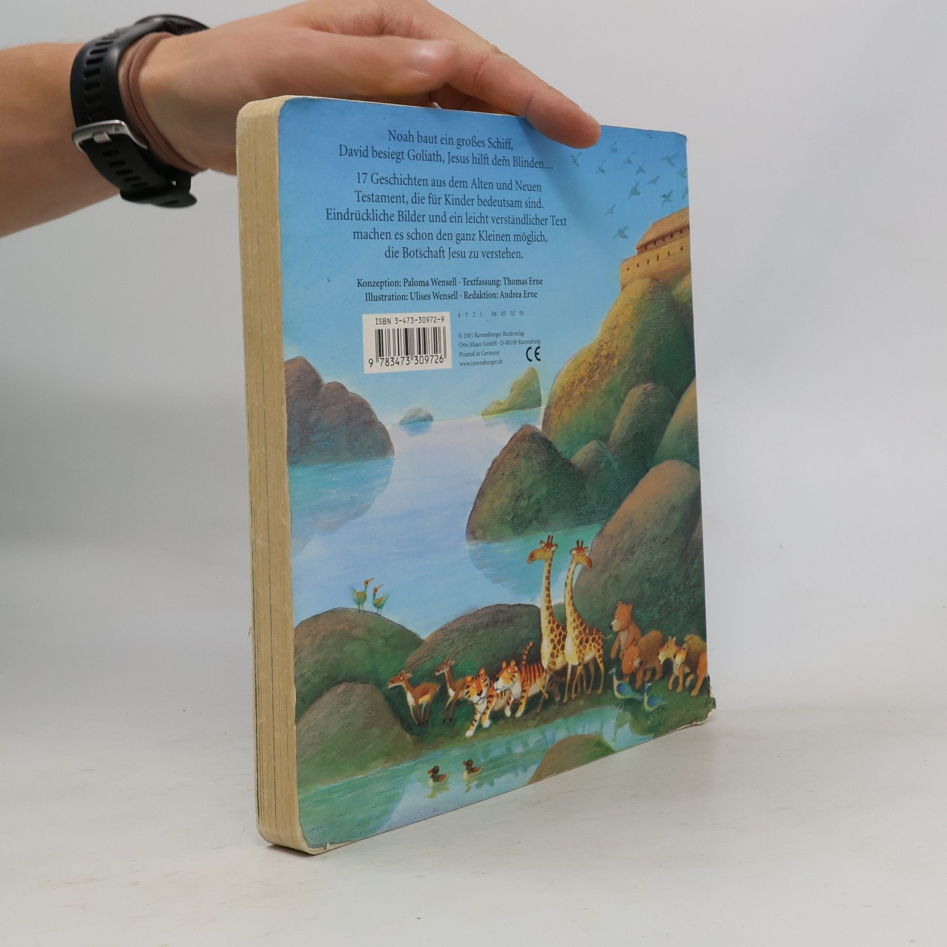 Paloma Wensell Meine ersten Bibel-Geschichten