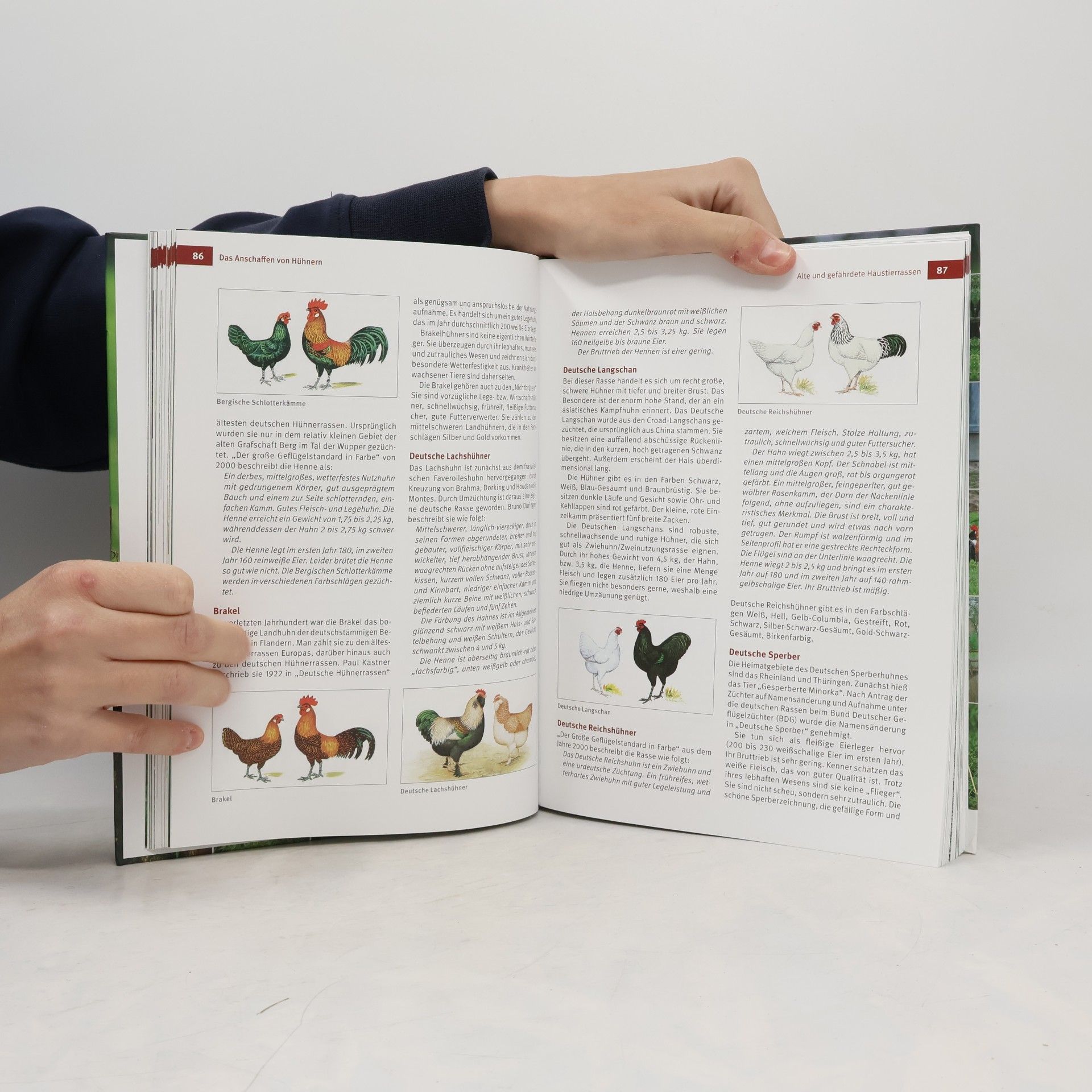 Wolf-Dietmar Unterweger Das Hühnerbuch