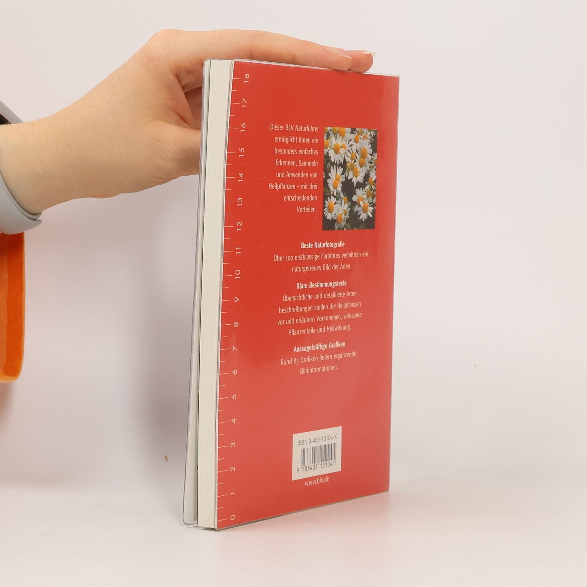 Elfrune Wendelberger Heilpflanzen