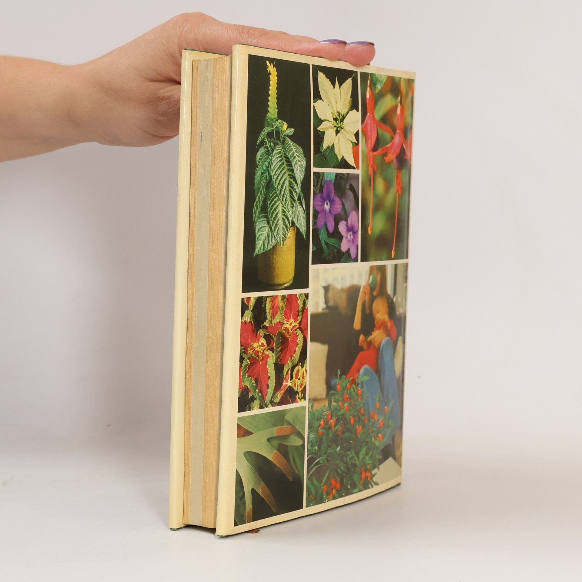 Various authors Moment voor... uw kamerplanten