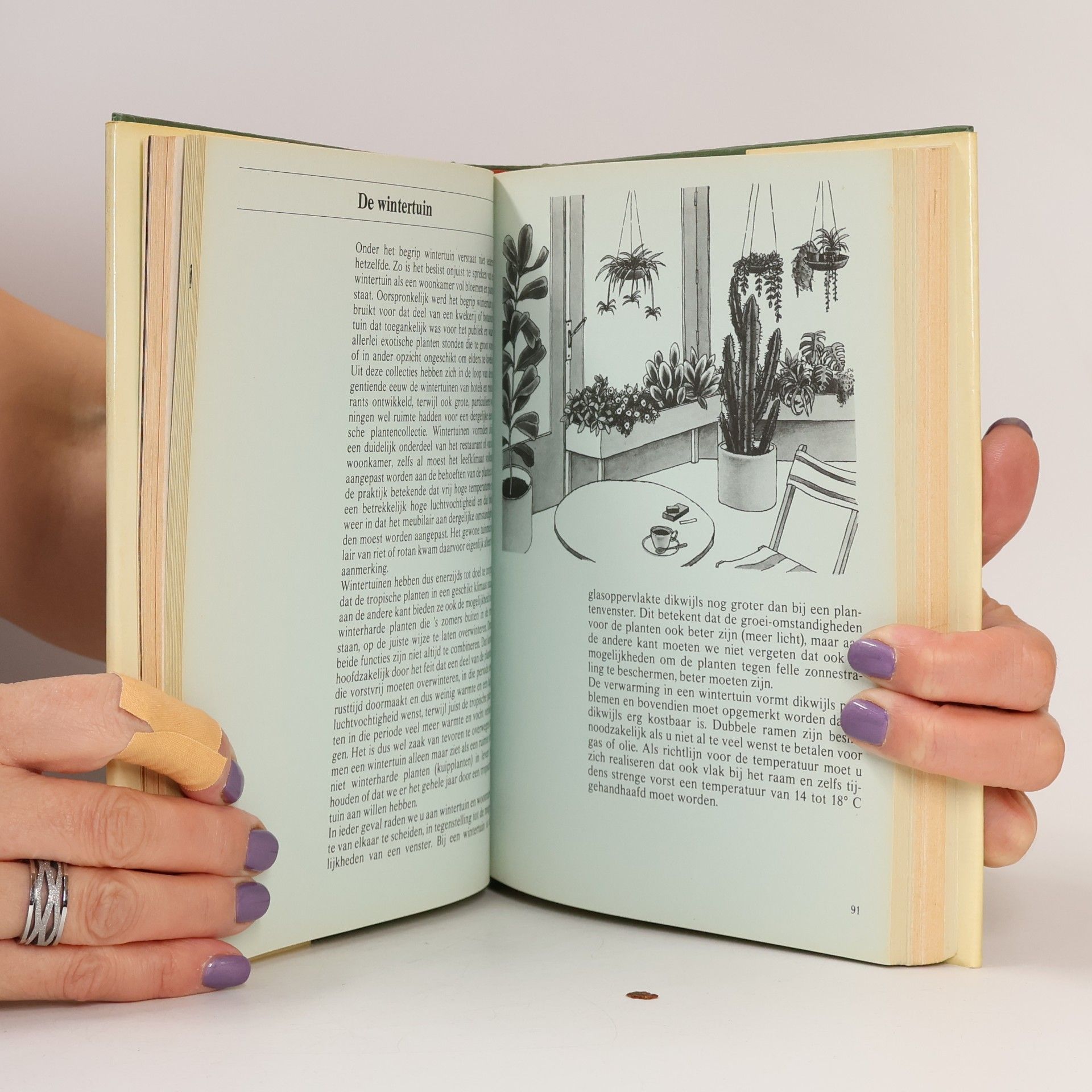 Various authors Moment voor... uw kamerplanten