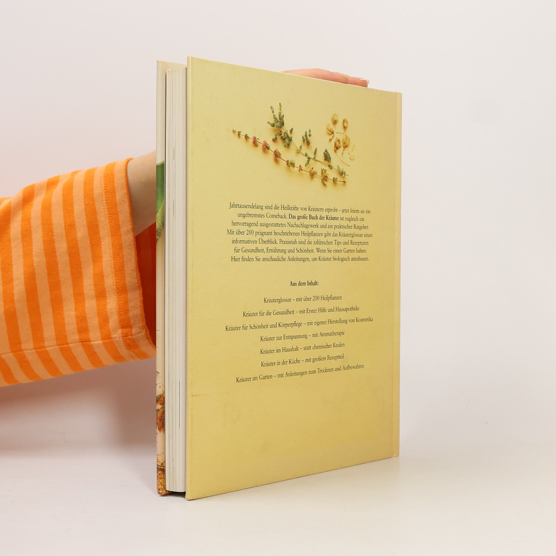 Autores varios Das grosse Buch der Kräuter