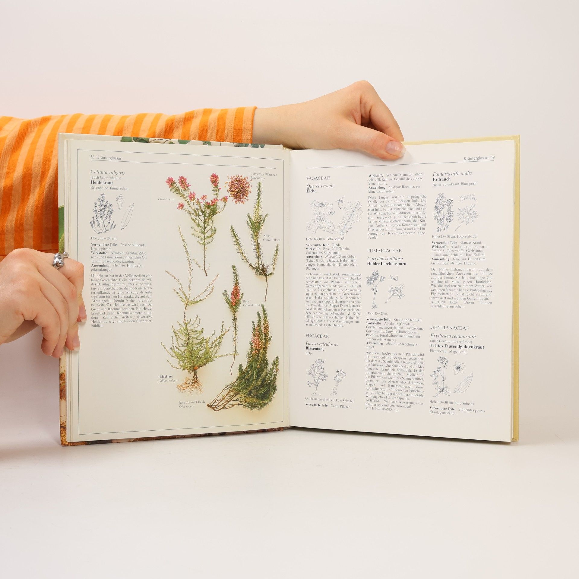 Autores varios Das grosse Buch der Kräuter
