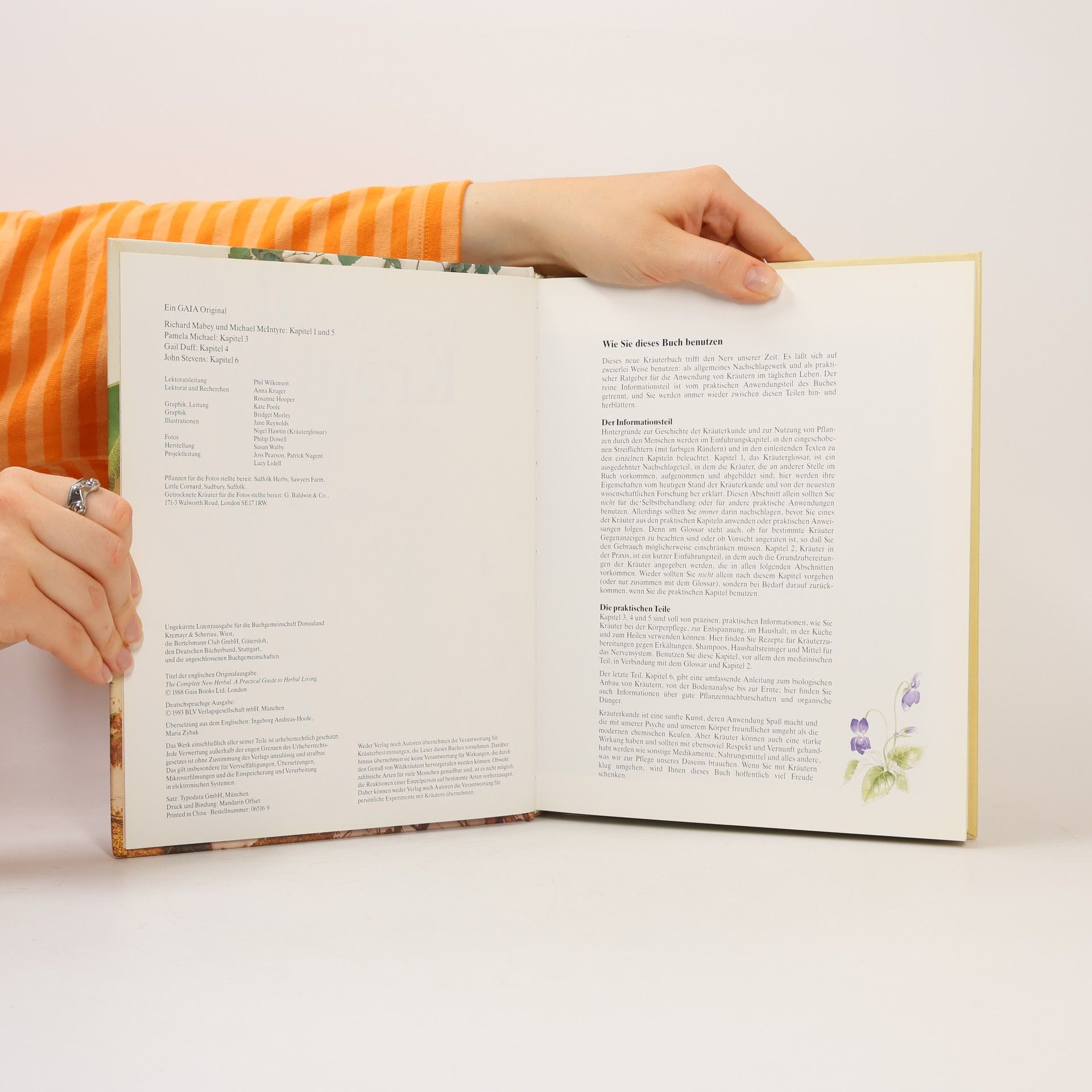 Autores varios Das grosse Buch der Kräuter