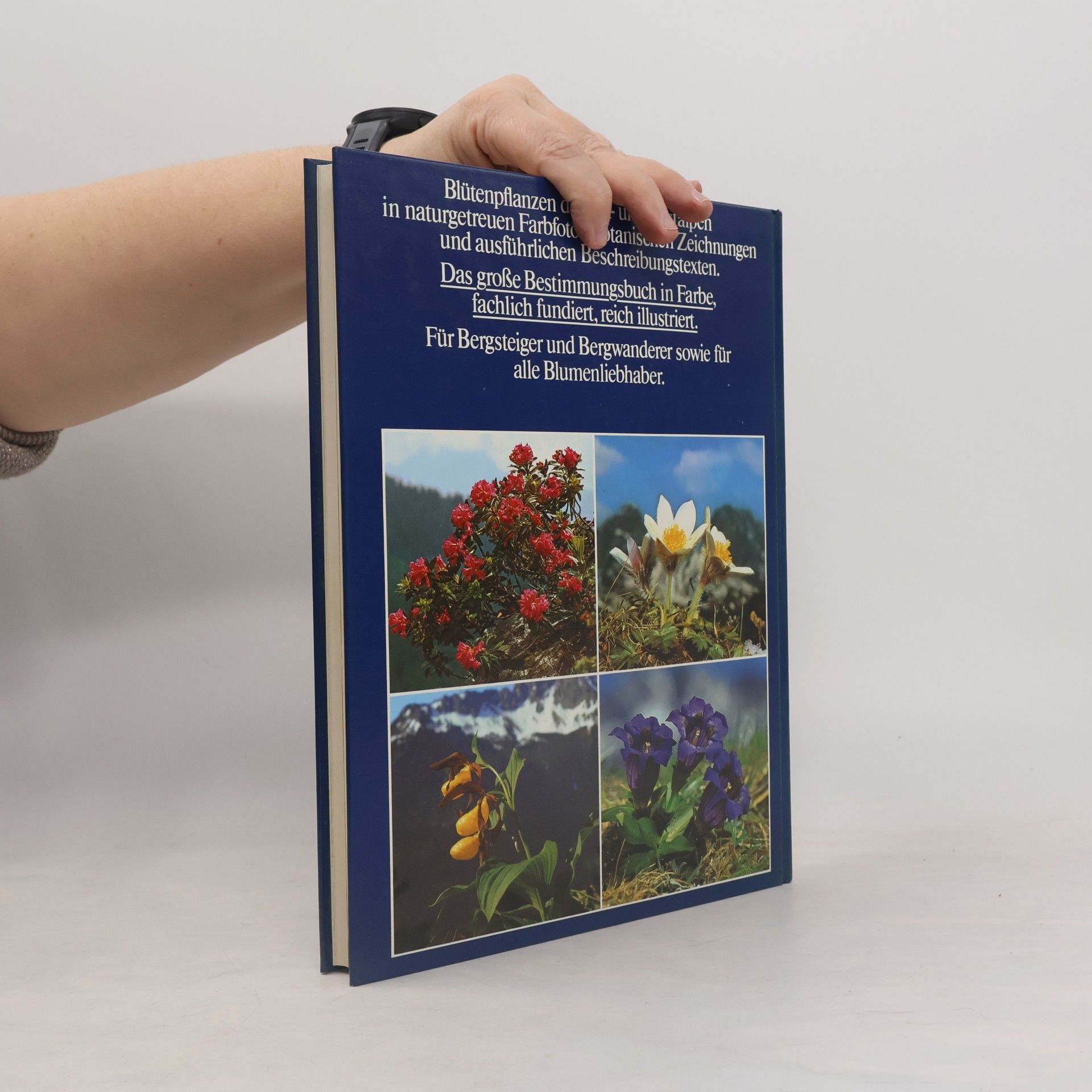 Wolfgang Lippert Fotoatlas der Alpenblumen
