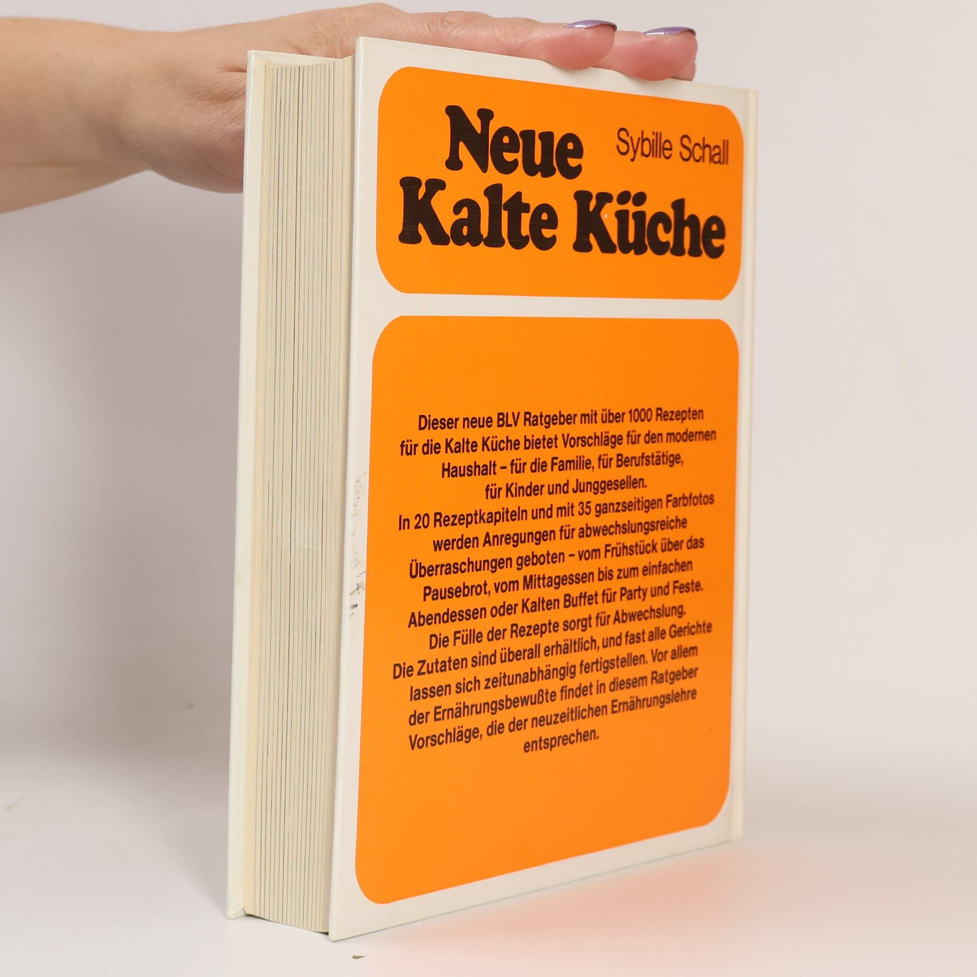 Sybille Schall Neue kalte Küche