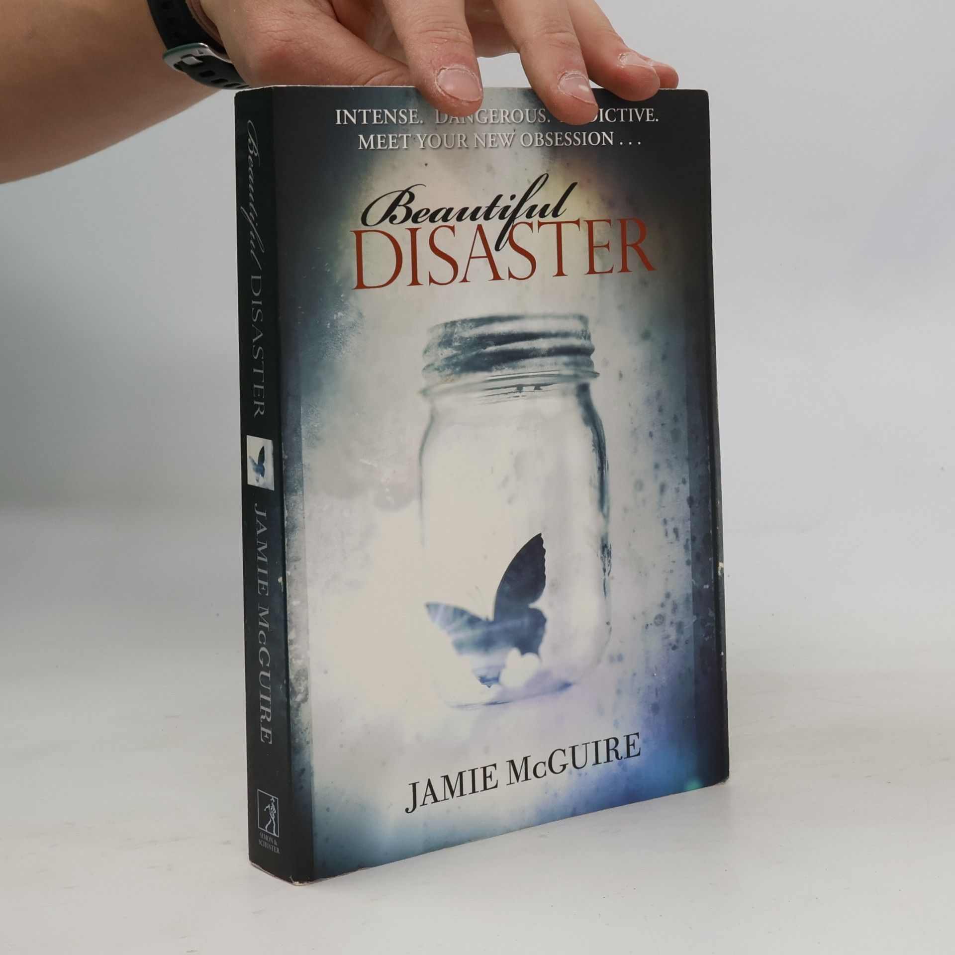 Jamie McGuire Beautiful Disaster