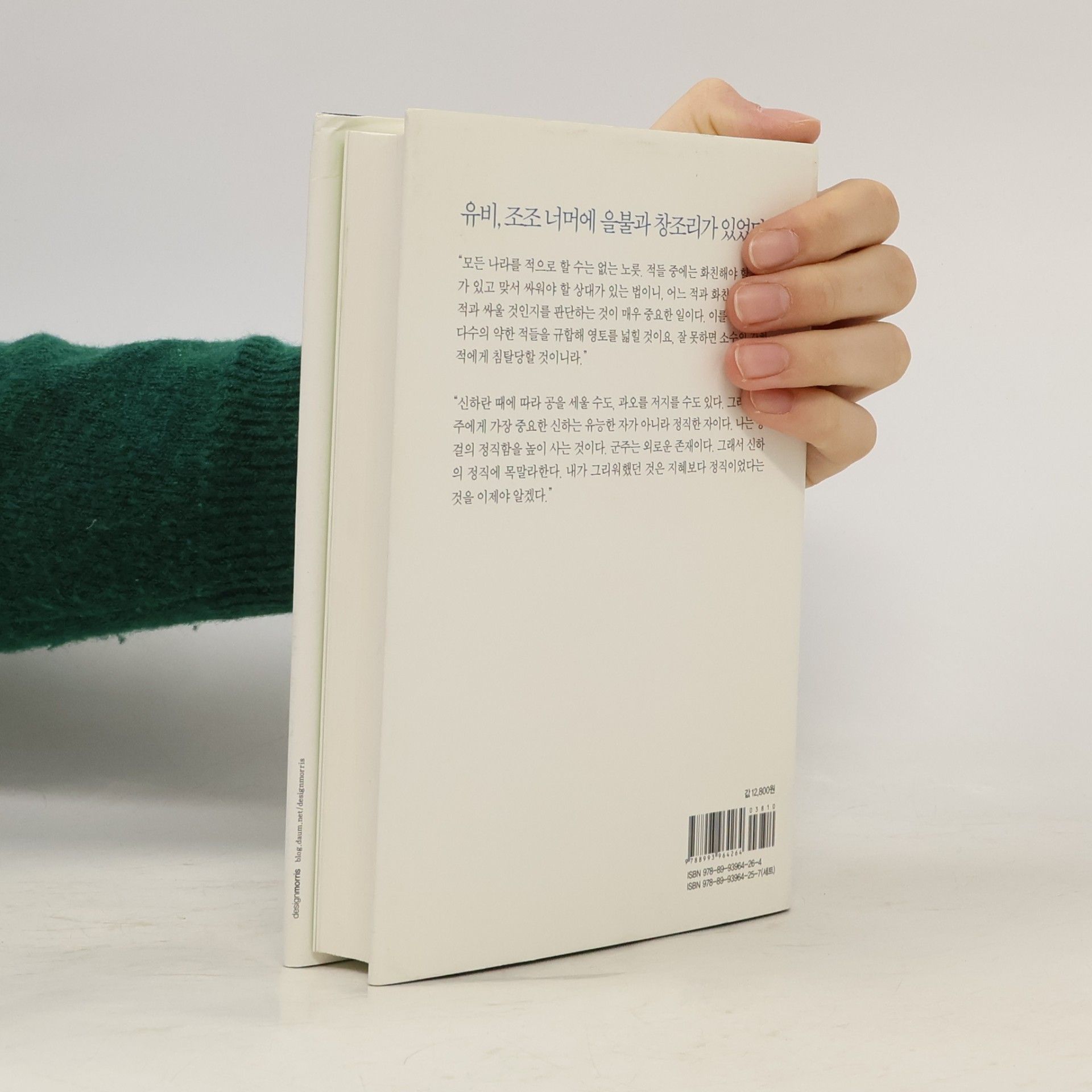 김진명 도망자 을불
