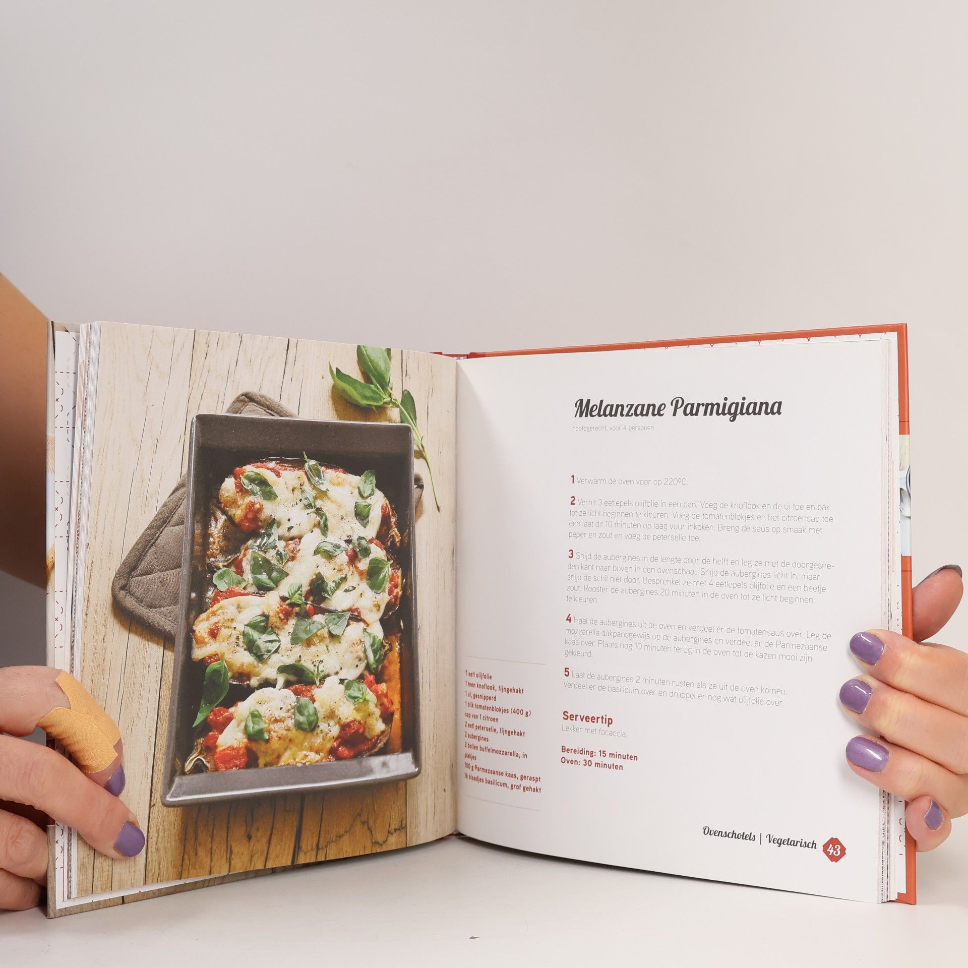 Kolektiv autorů Oven en stoven: 35 heerlijke recepten voor oven- en stoofgerechten