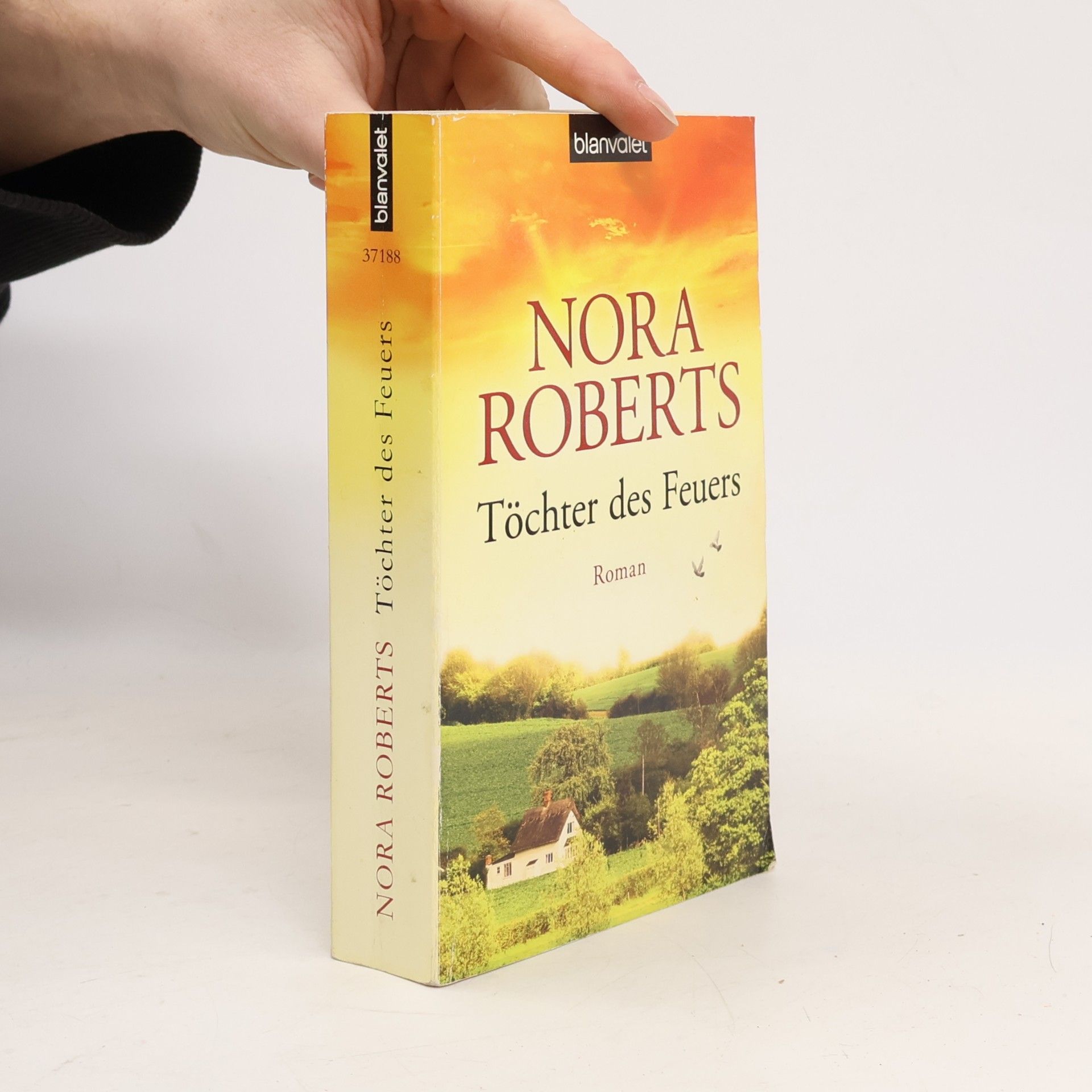 Nora Roberts Töchter des Feuers