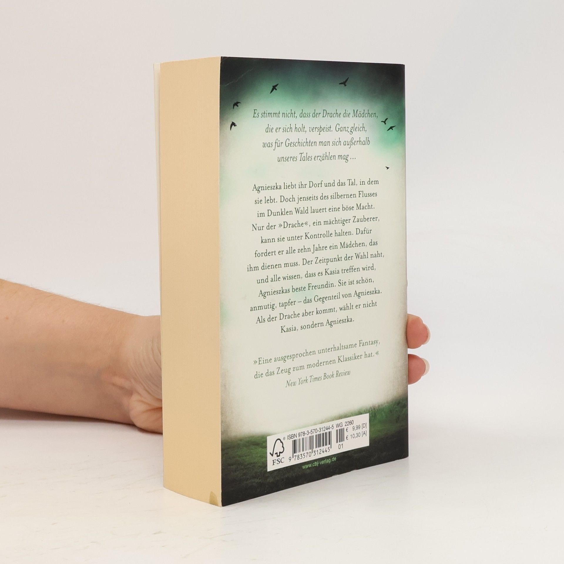 Naomi Novik Das dunkle Herz des Waldes