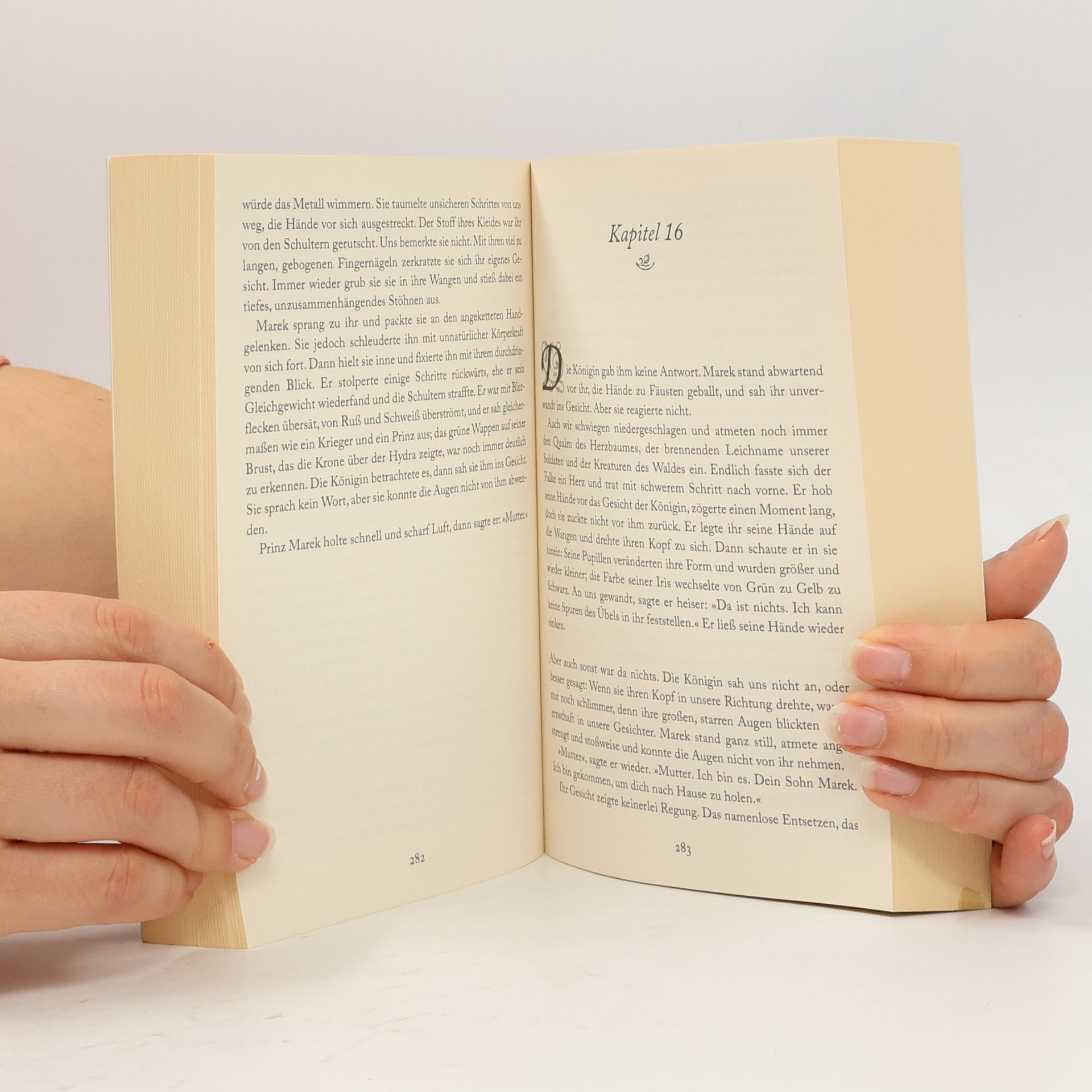Naomi Novik Das dunkle Herz des Waldes