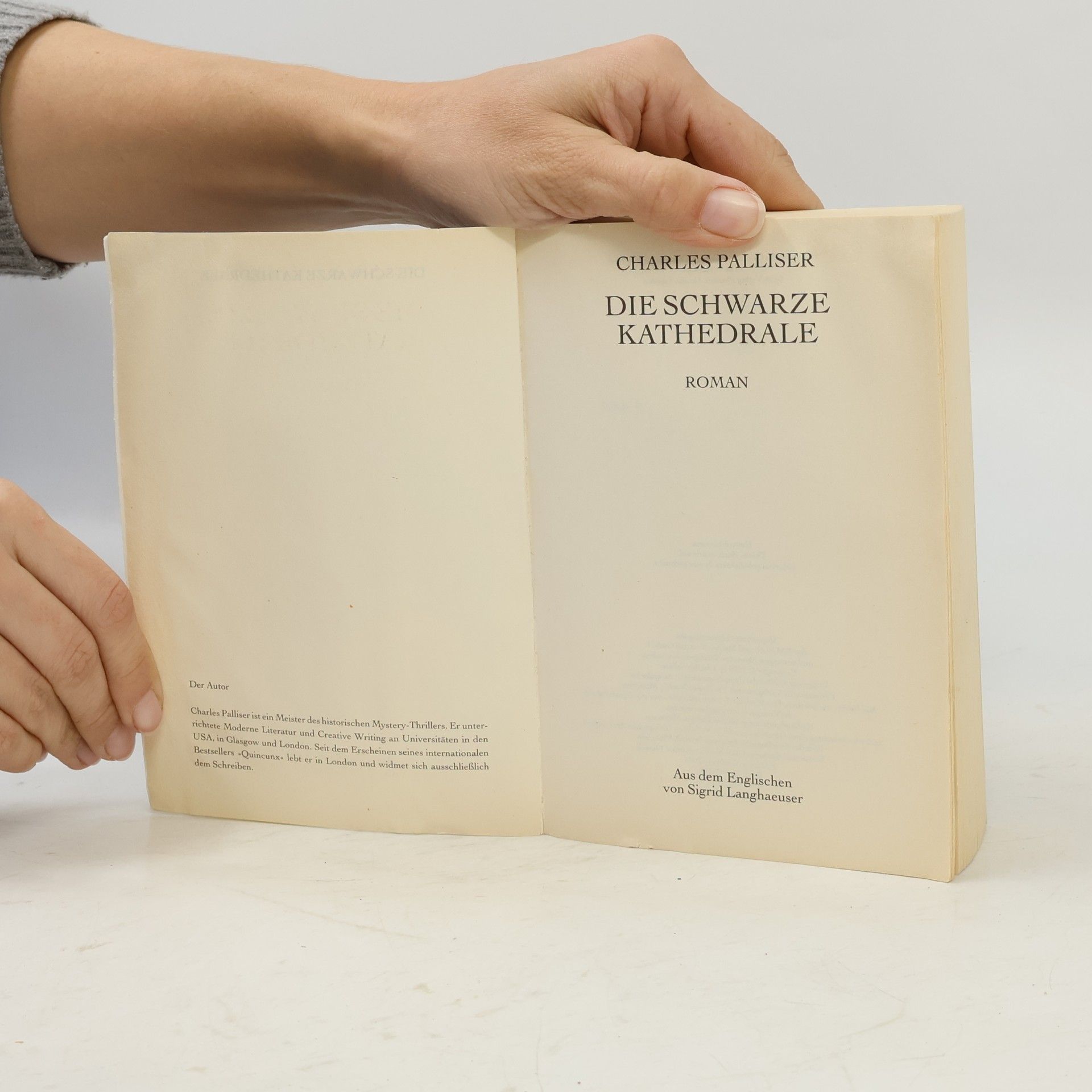 Charles Palliser Die Schwarze Kathedrale