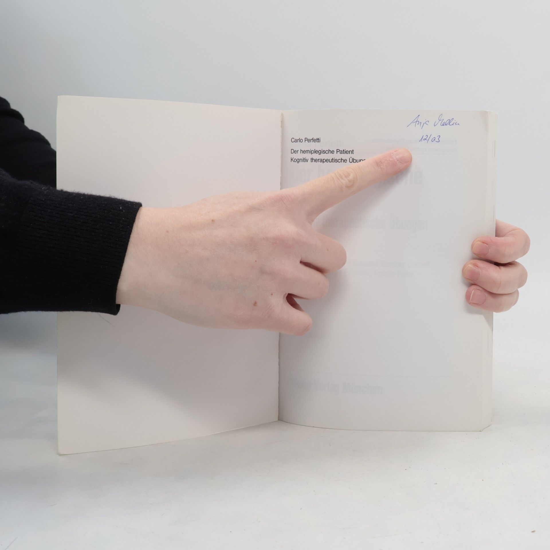 Carlo Perfetti Der hemiplegische Patient