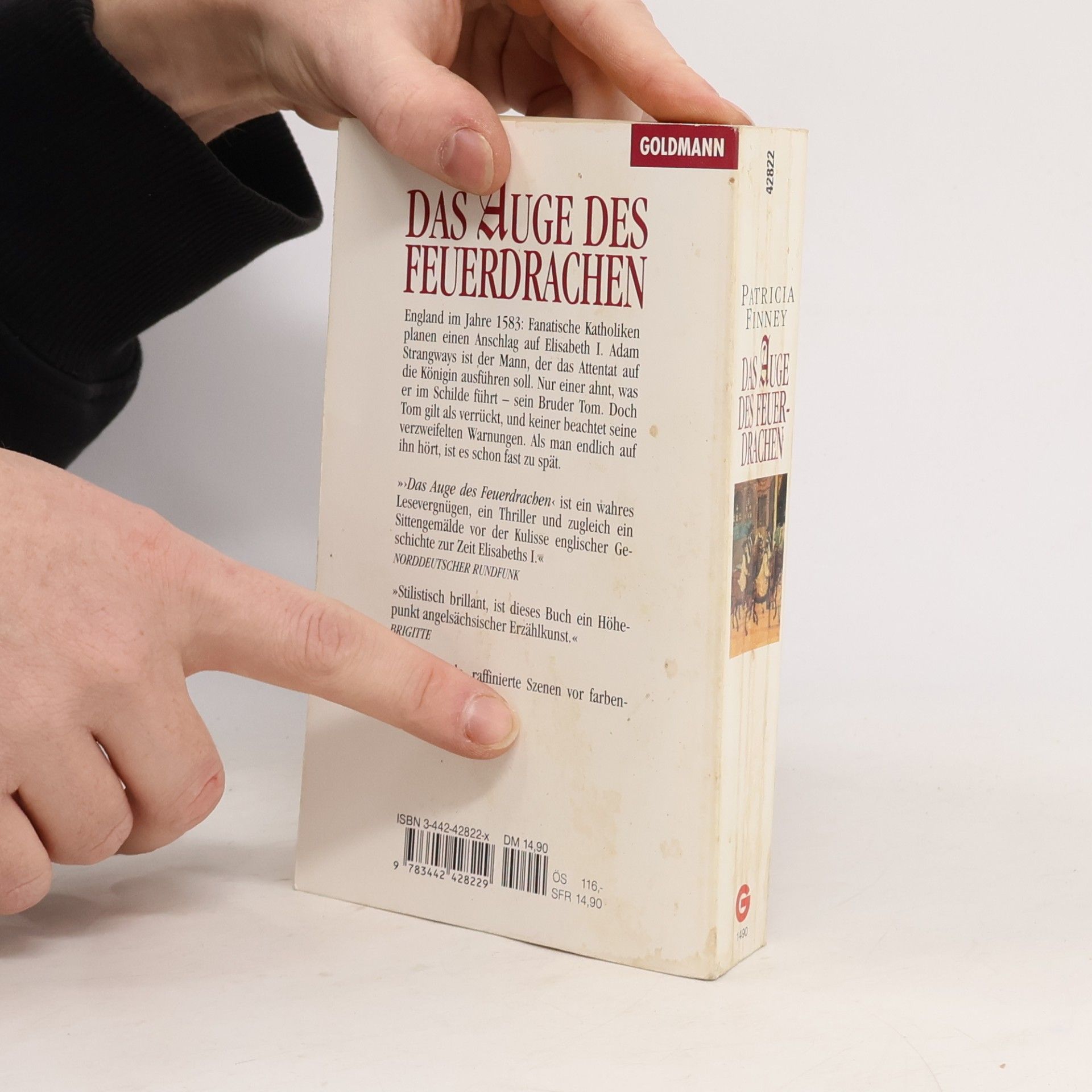 Patricia Finney Das Auge des Feuerdrachen