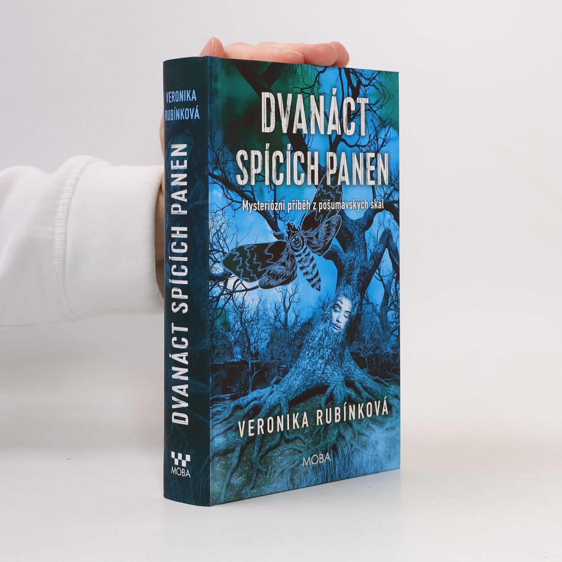 Dvanáct spících panen