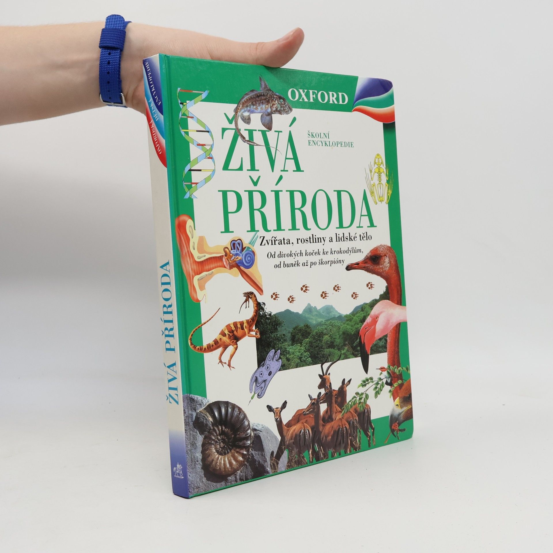 Živá příroda