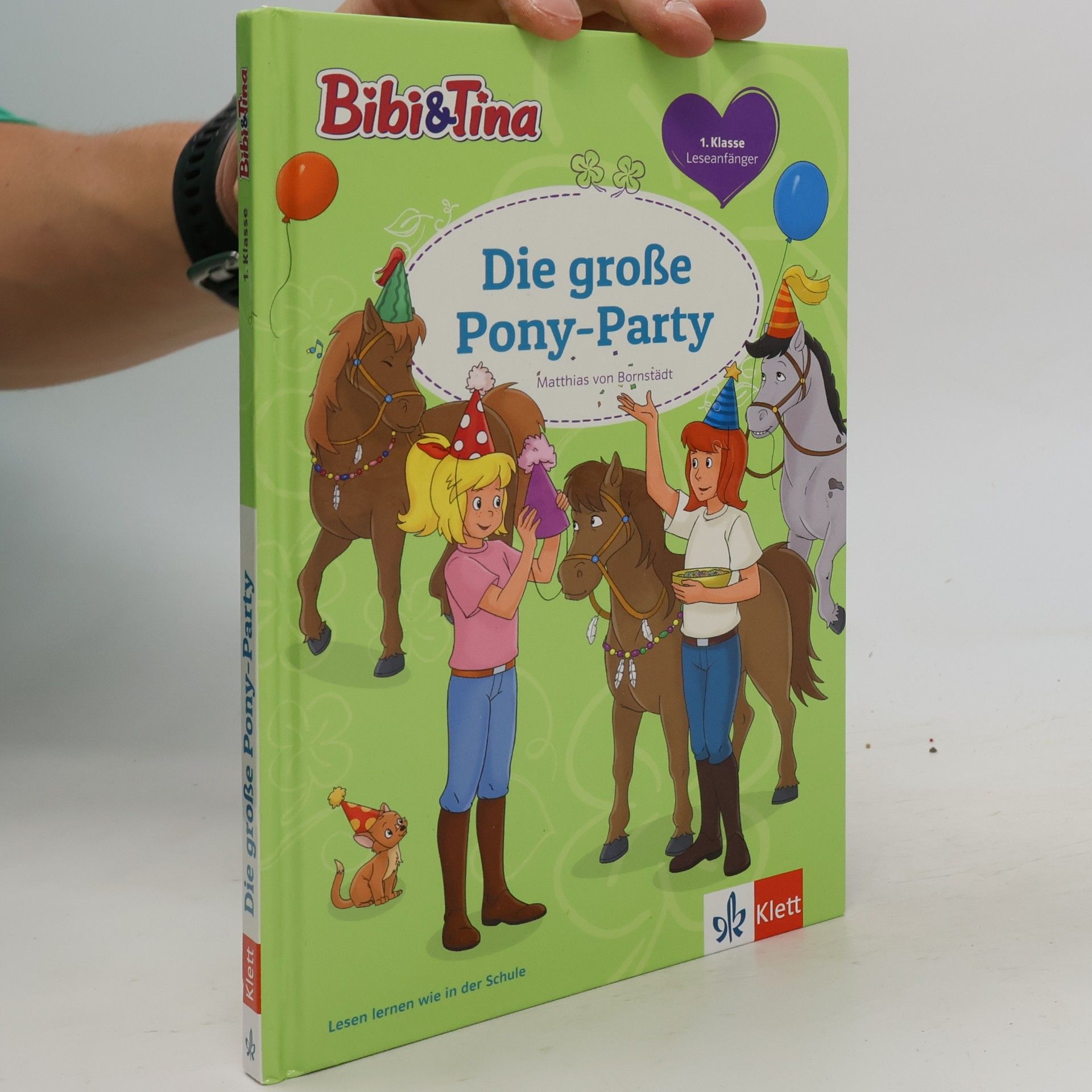 Die große Pony-Party