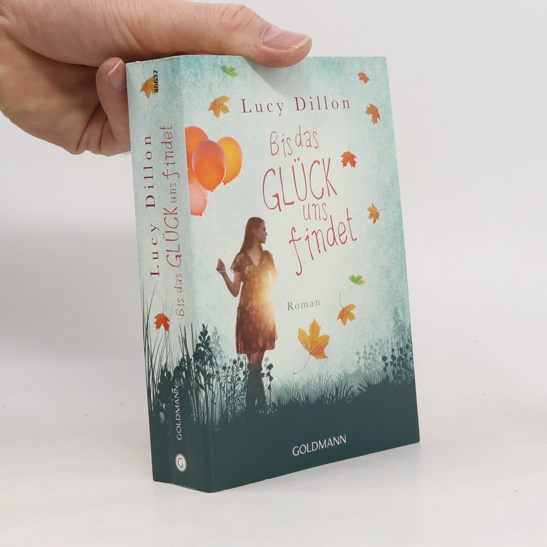 Lucy Dillon Bis das Glück uns findet