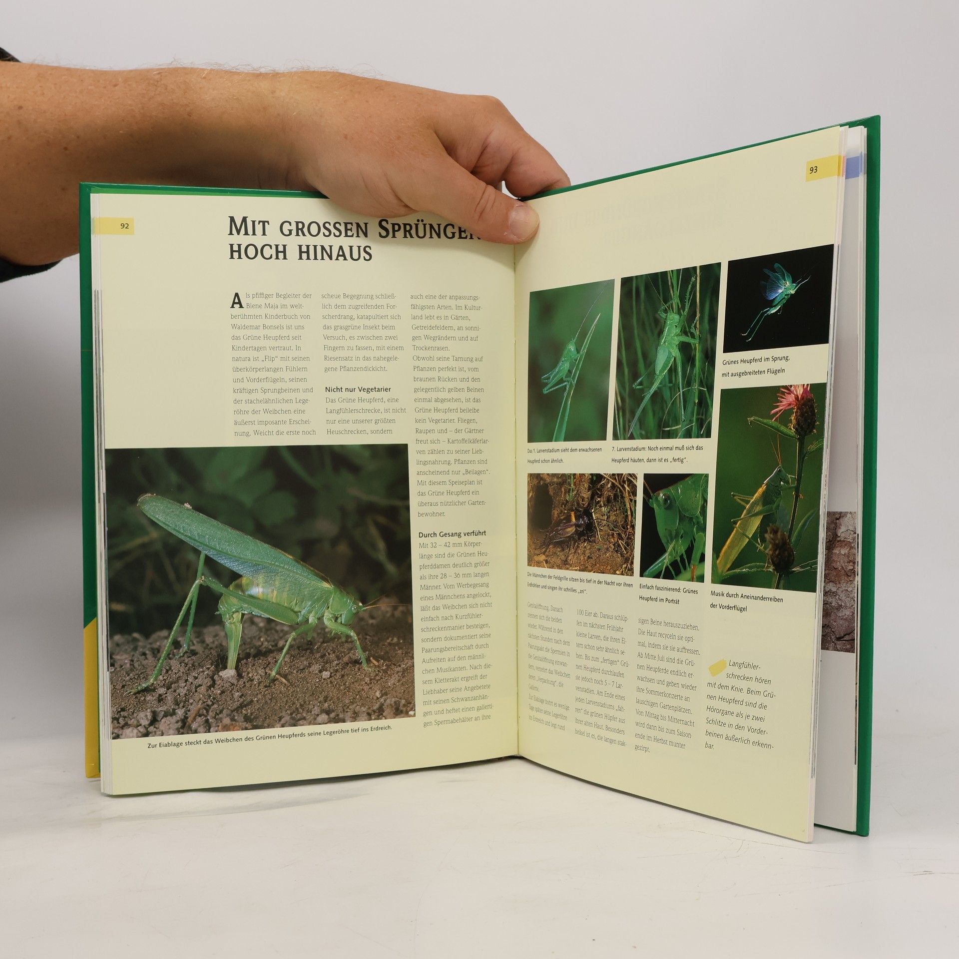 Andreas Alberts Psychoaktive Pflanzen, Pilze und Tiere