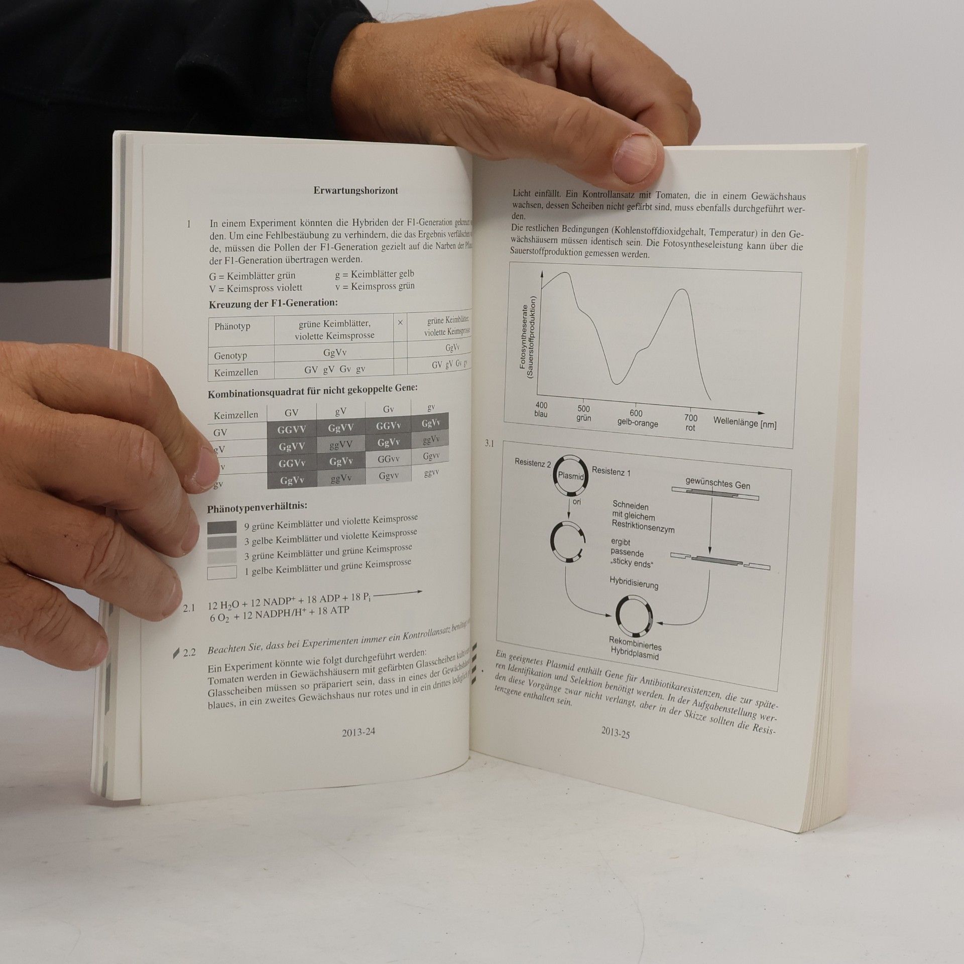 Autorenkollektiv Abitur 2019 - Gymnasium Bayern - Biologie