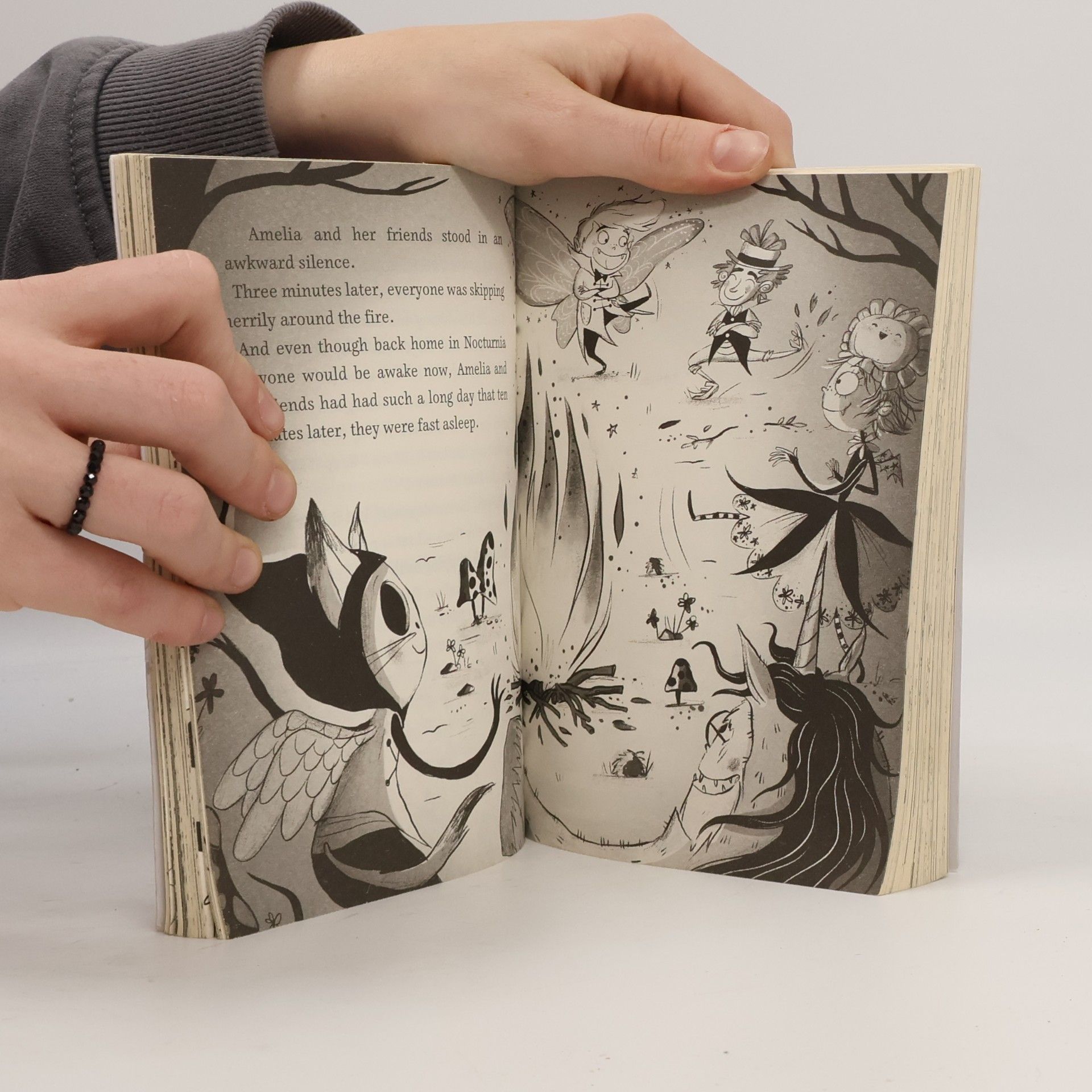 Laura Anderson Amelia Fang and the Unicorn Lords