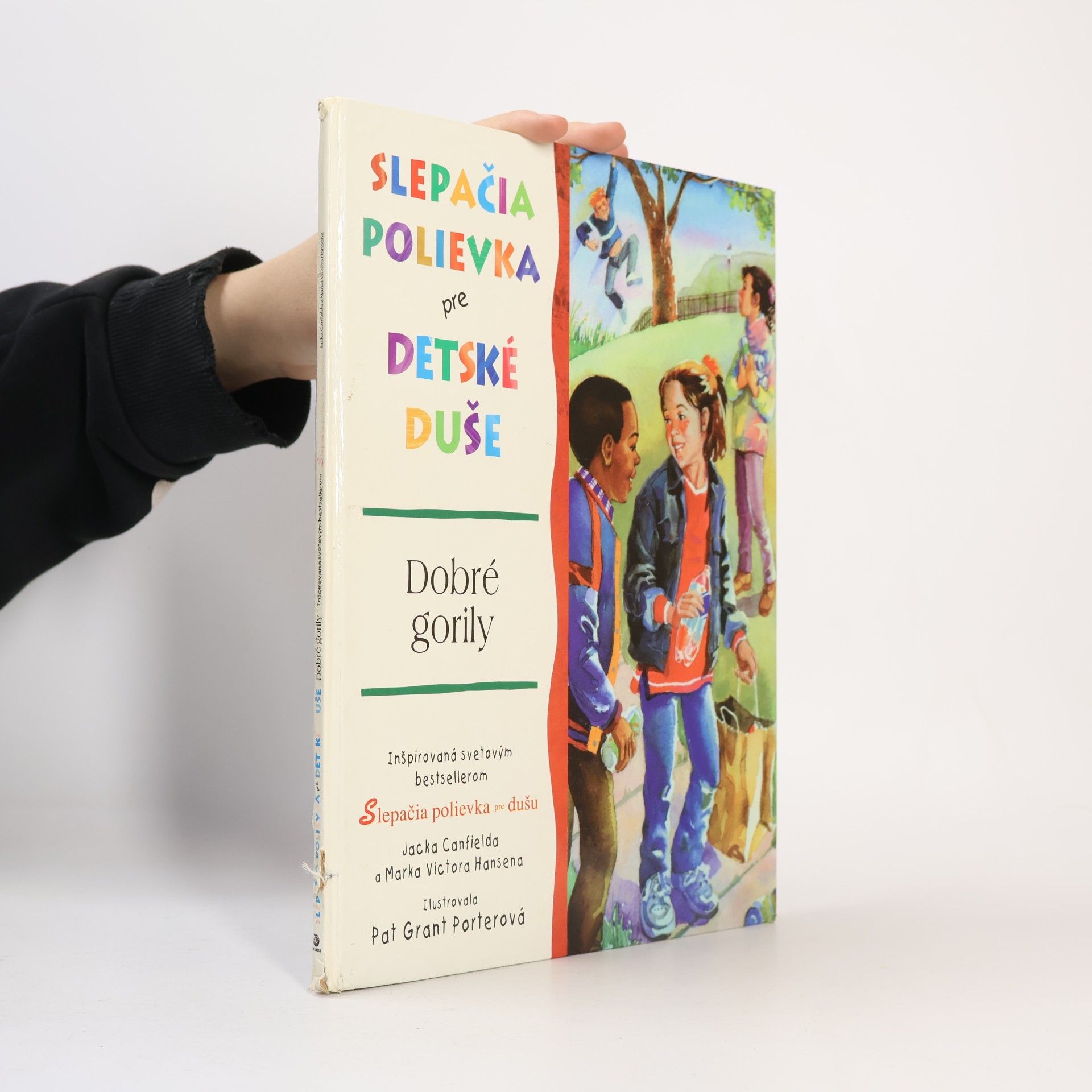 Slepačia polievka pre detské duše