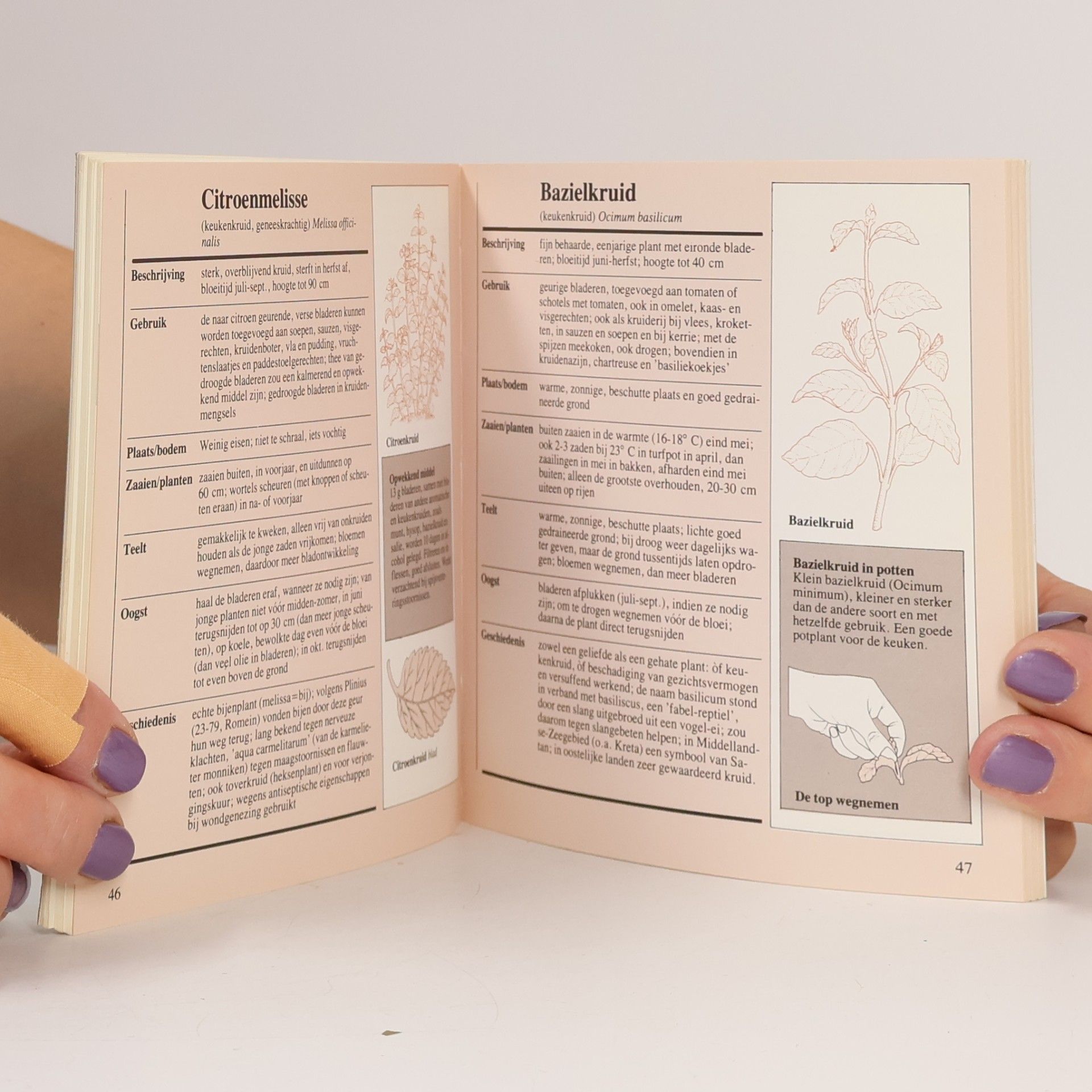 Ann Bonar Toren-Tip: Boek over kruiden & kruiden kweken