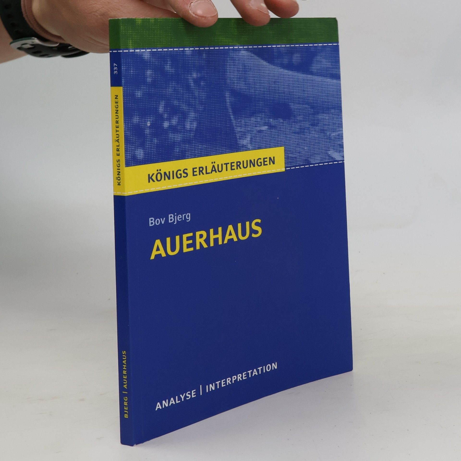 Textanalyse und Interpretation zu Bov Bjerg, Auerhaus