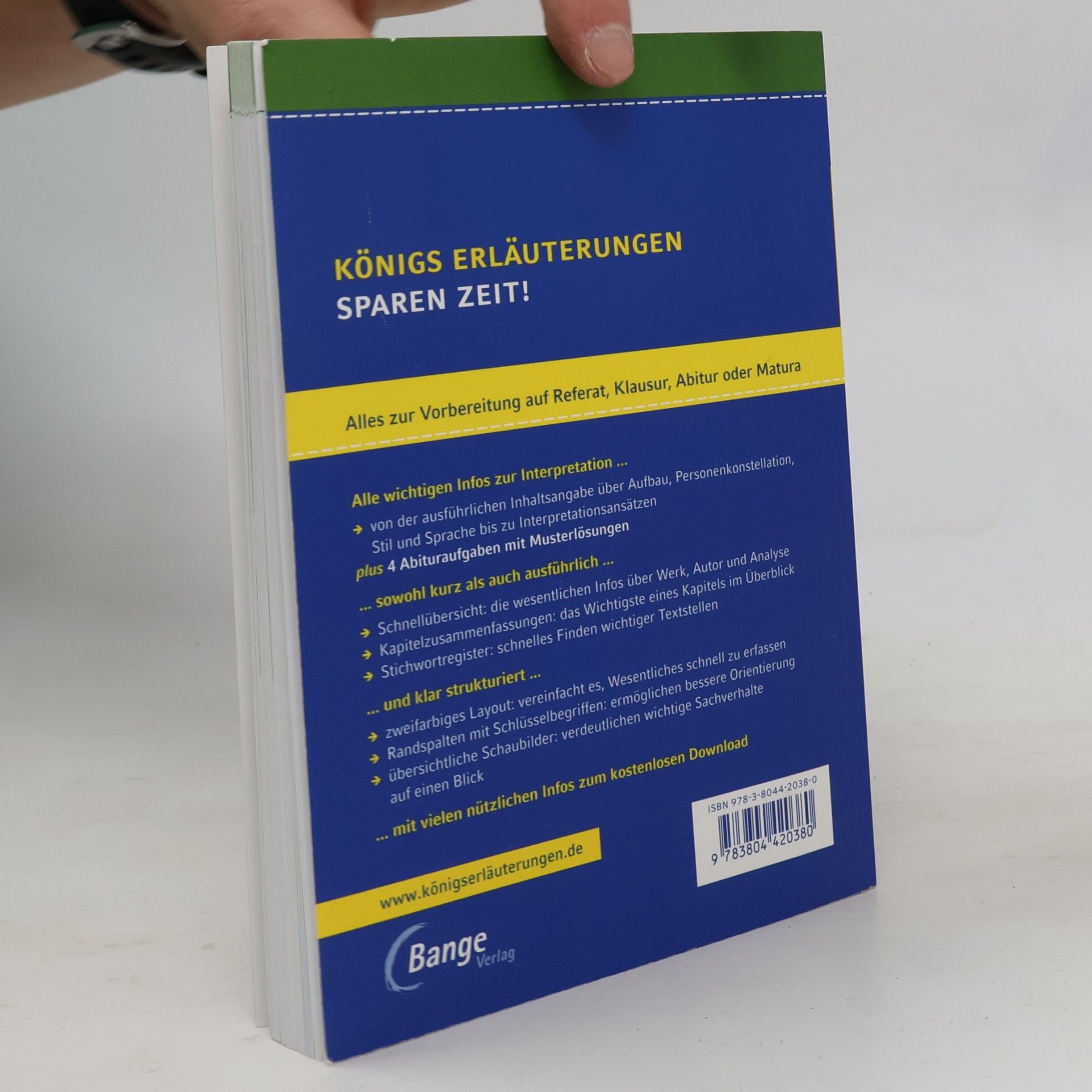 Wolfgang Reitzammer Textanalyse und Interpretation zu Bov Bjerg, Auerhaus