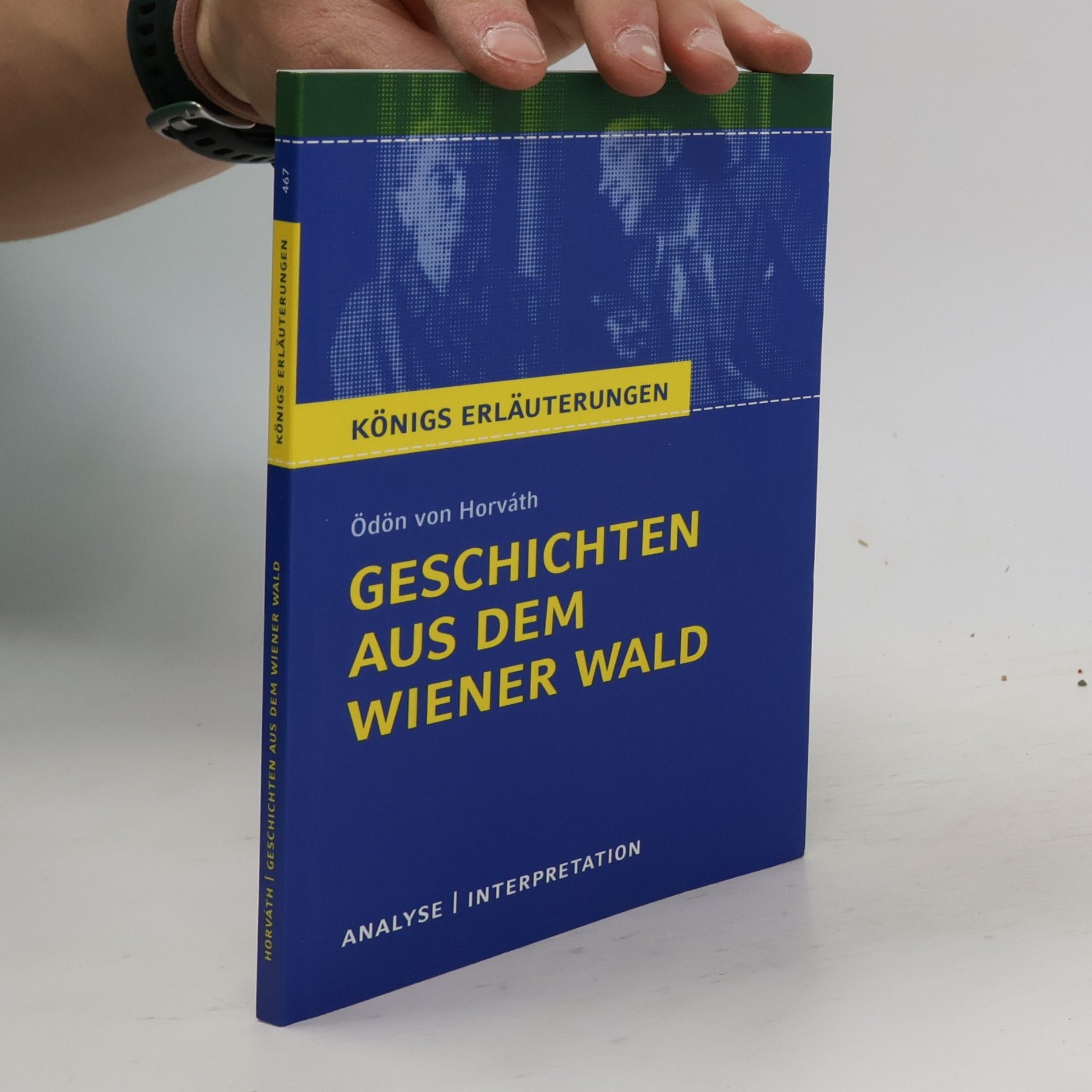 Textanalyse und Interpretation zu Ödön von Horváth, Geschichten aus dem Wiener Wald