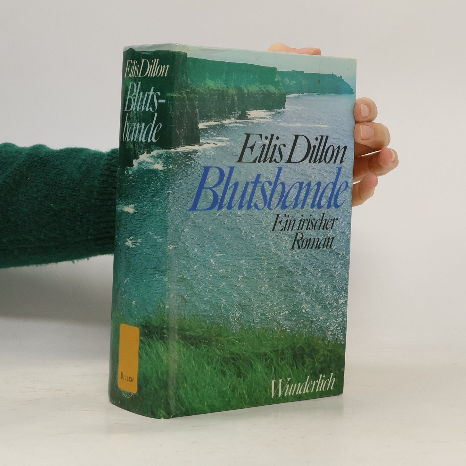 Blutsbande. Ein irischer Roman