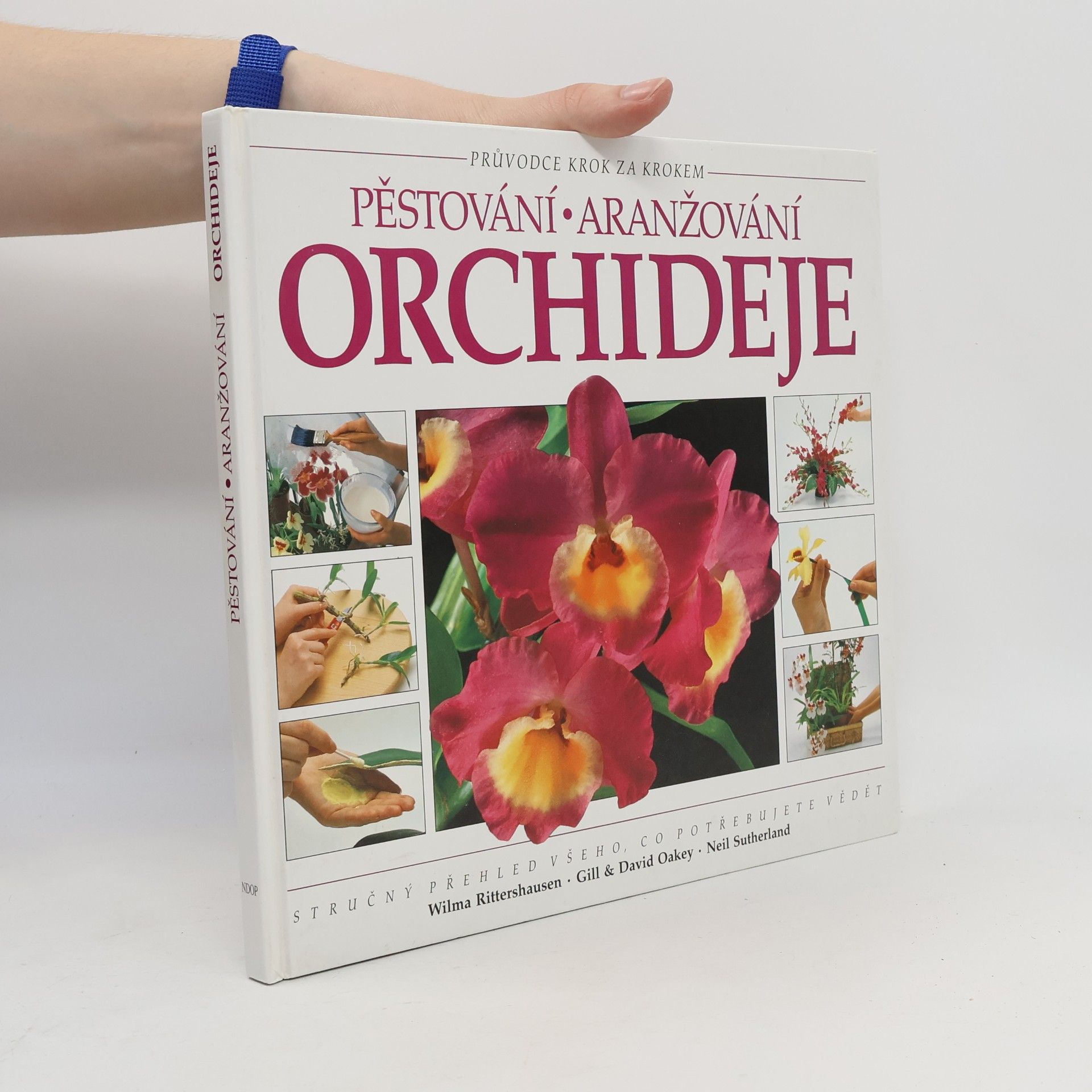 Collectif d'auteurs Pěstování aranžování: Orchideje