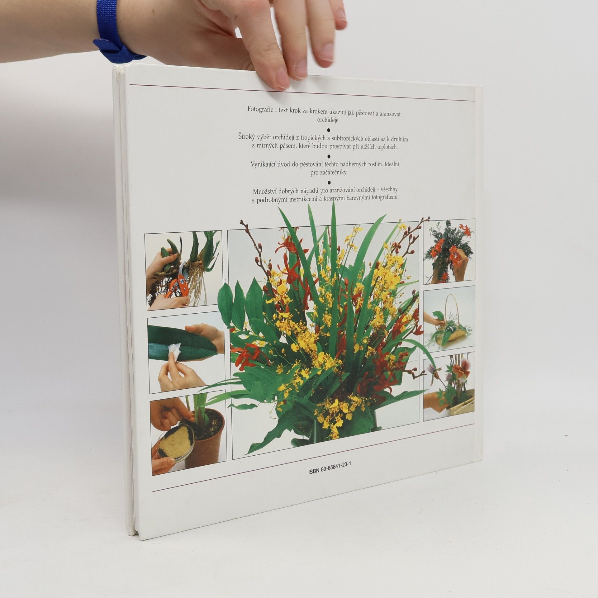 Collectif d'auteurs Pěstování aranžování: Orchideje